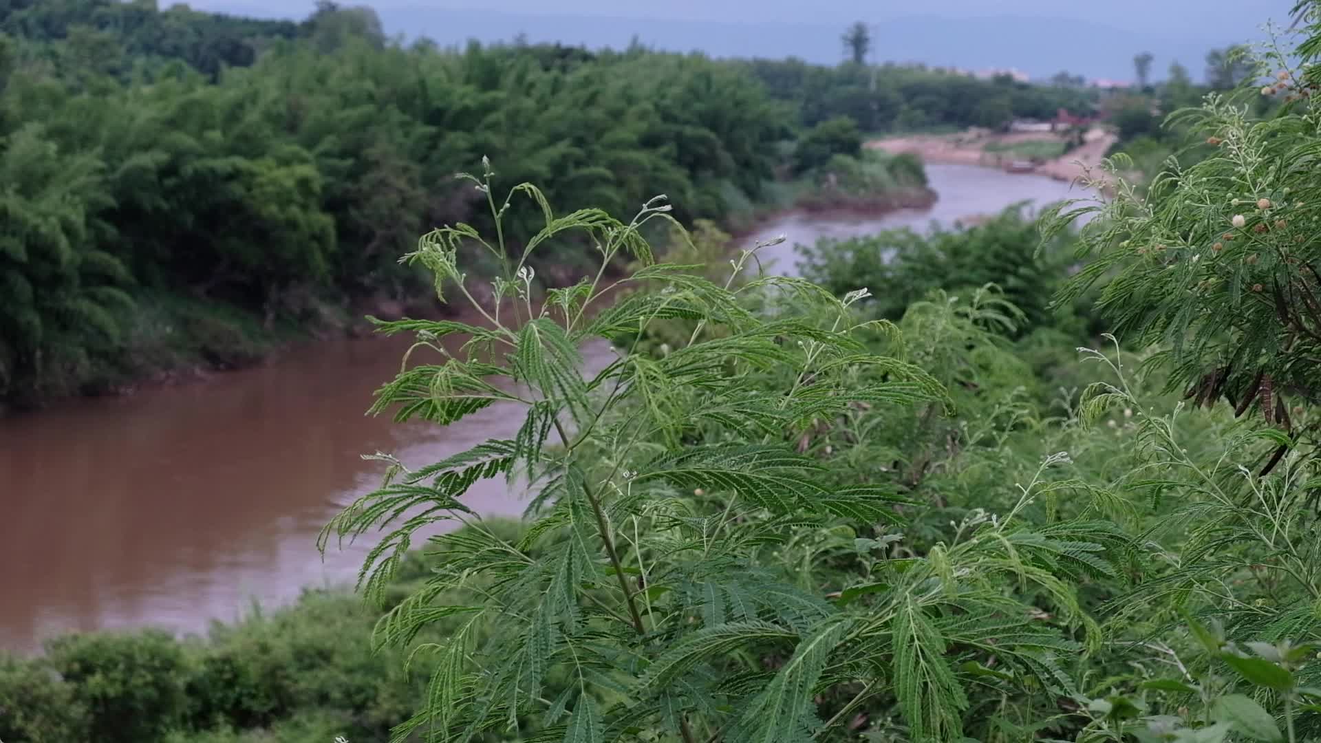 Thailand Myanmar Border