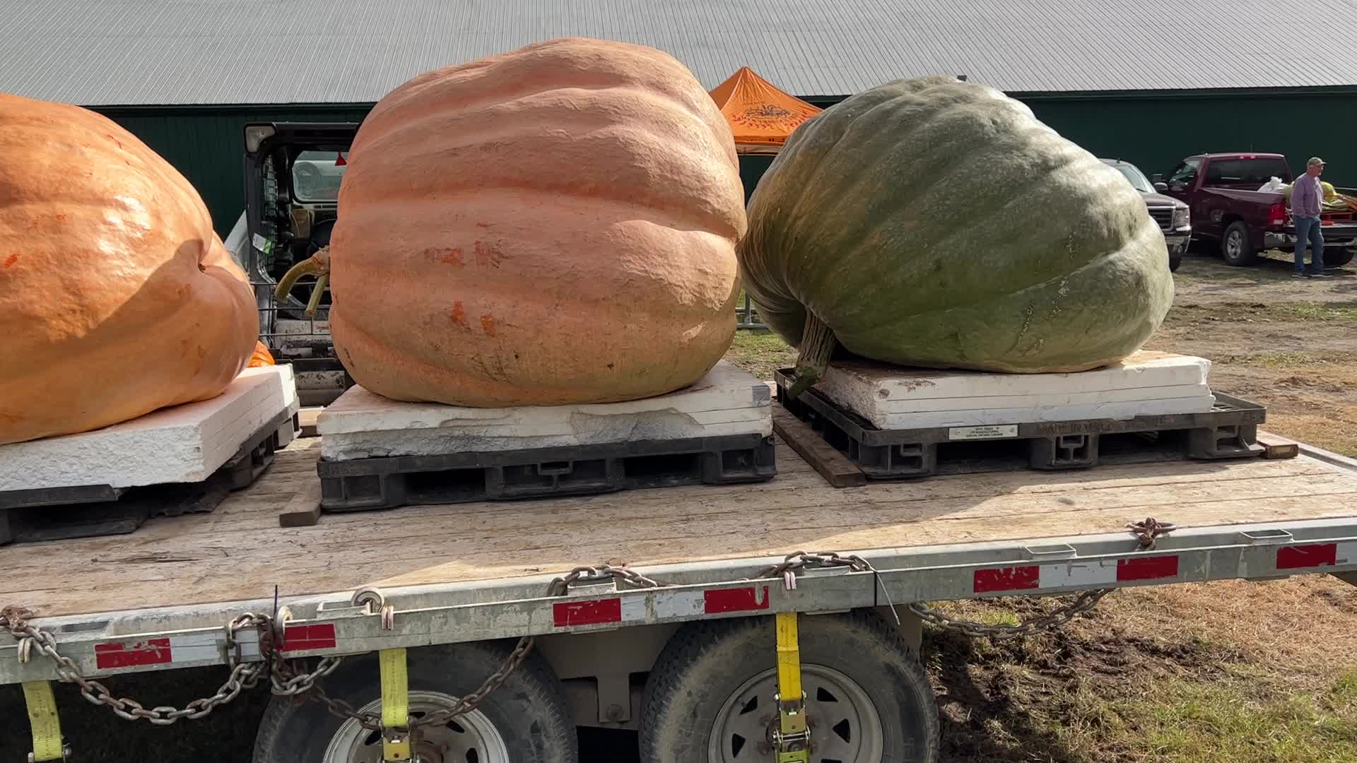 Great Pumpkin Commonwealth Giant Pumpkin Competition