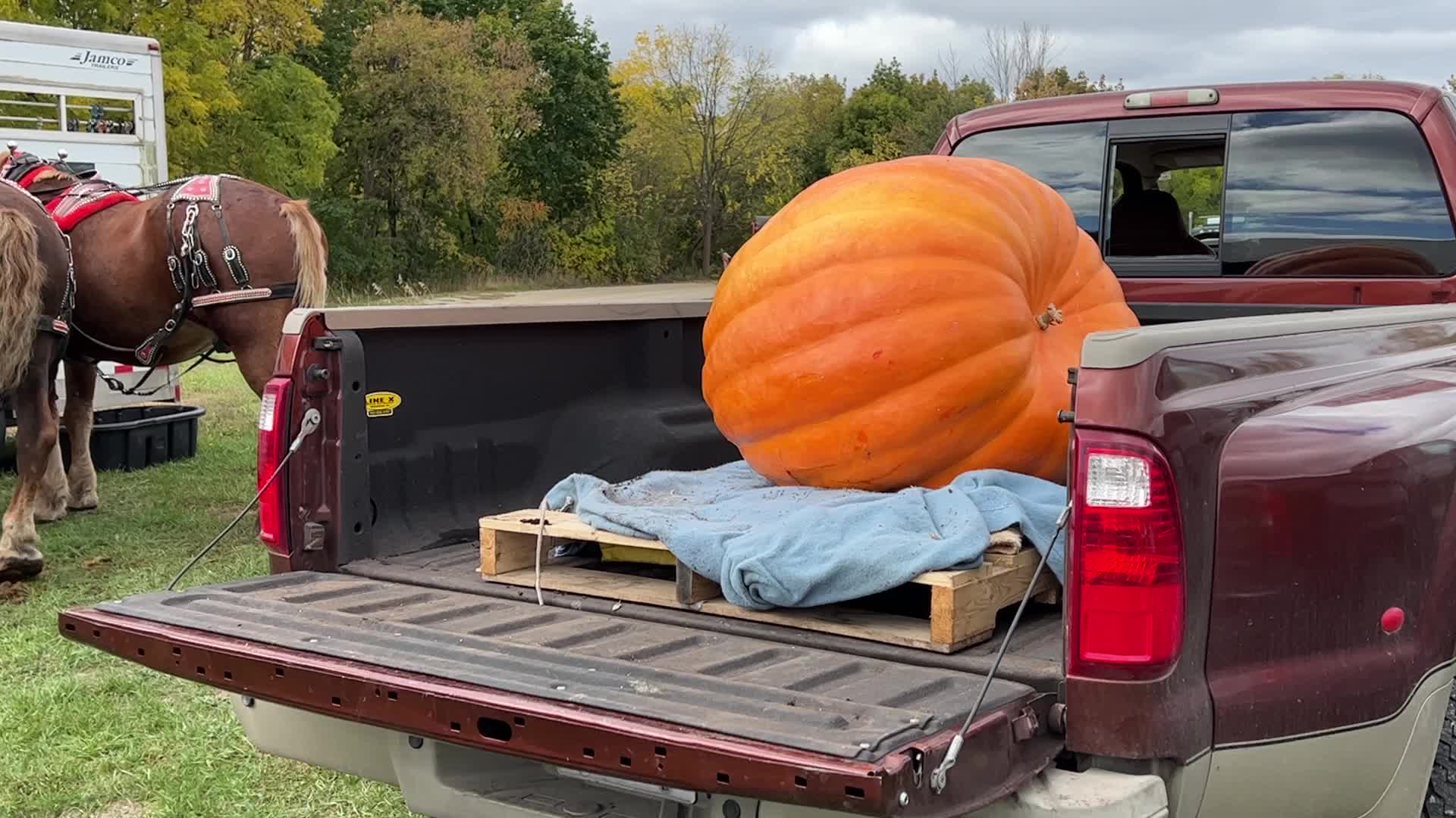Great Pumpkin Commonwealth Giant Pumpkin Competition