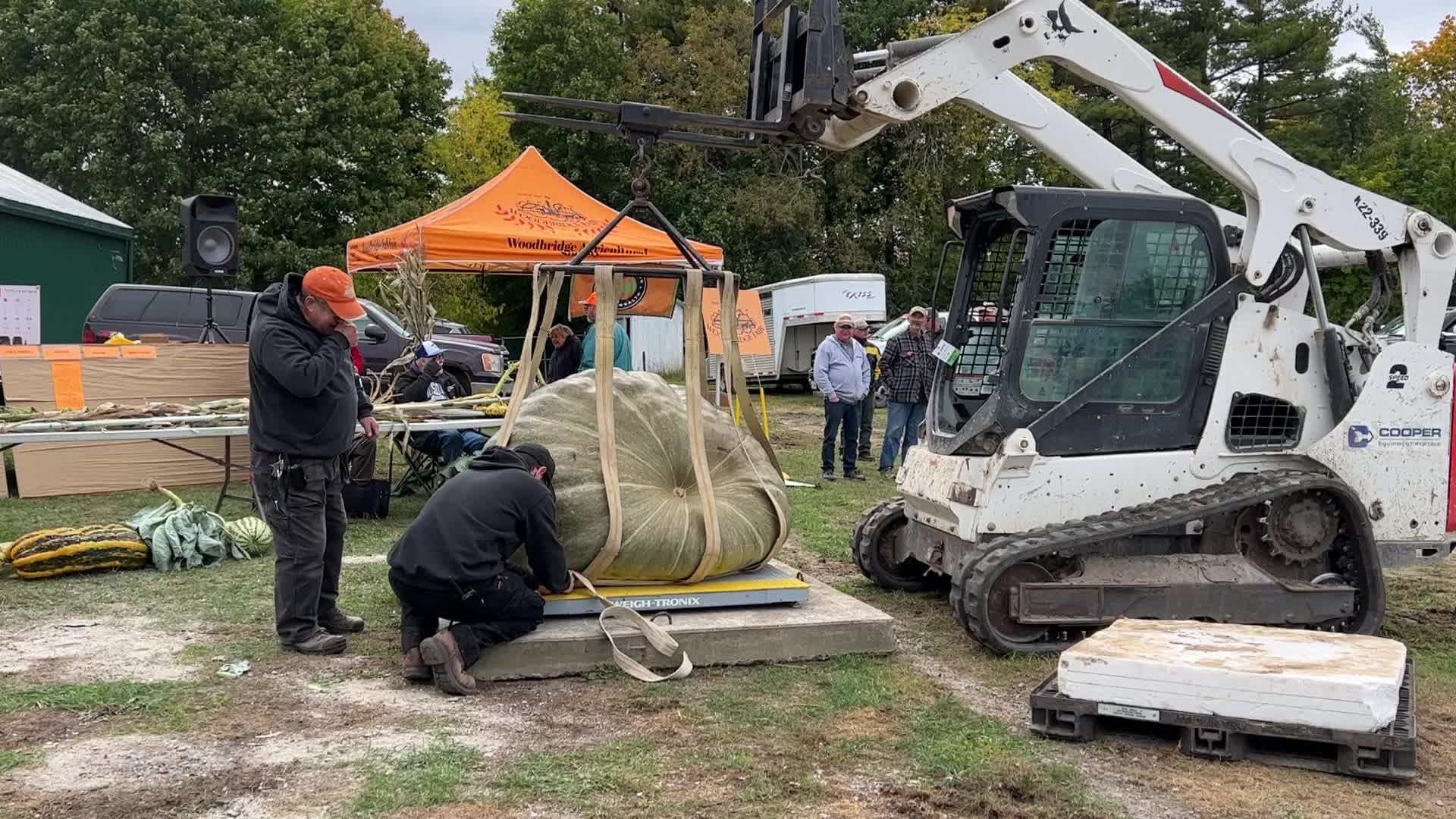 Great Pumpkin Commonwealth Giant Pumpkin Competition
