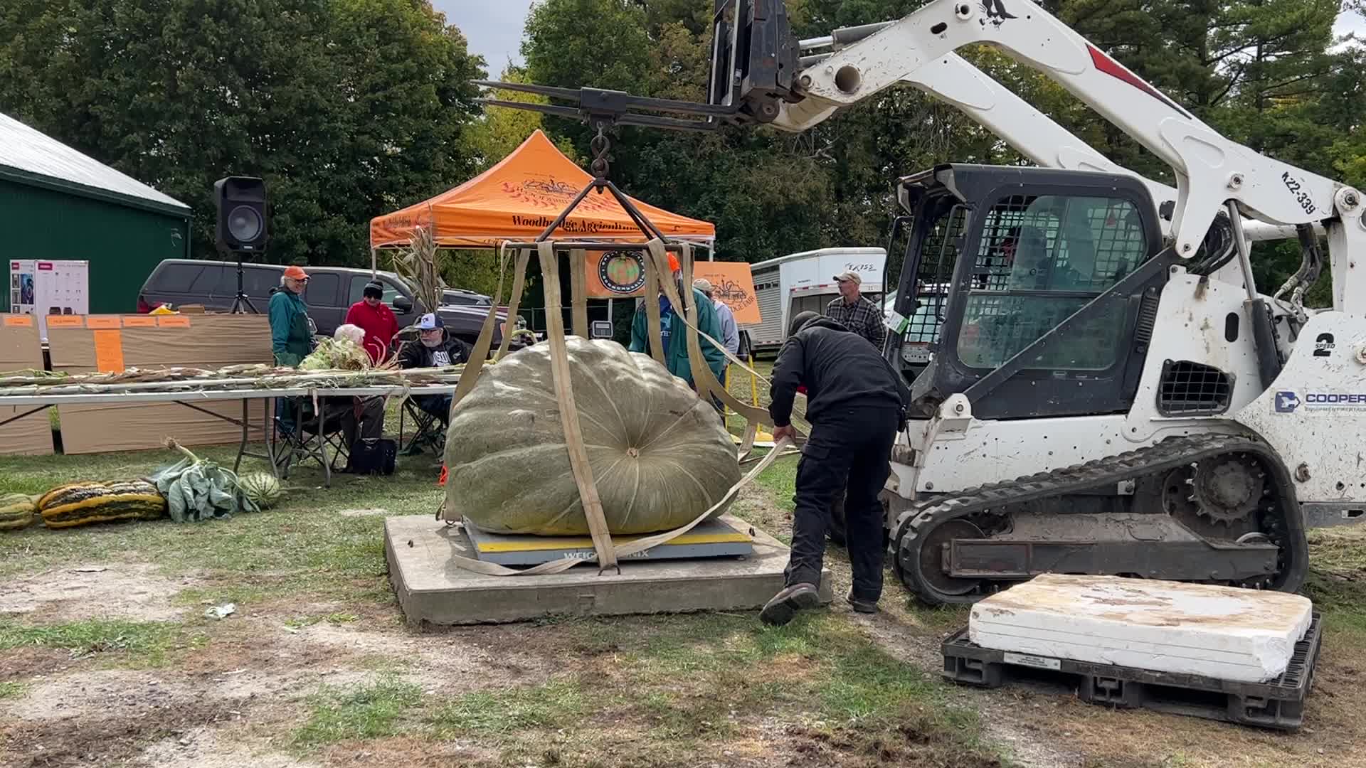 Great Pumpkin Commonwealth Giant Pumpkin Competition