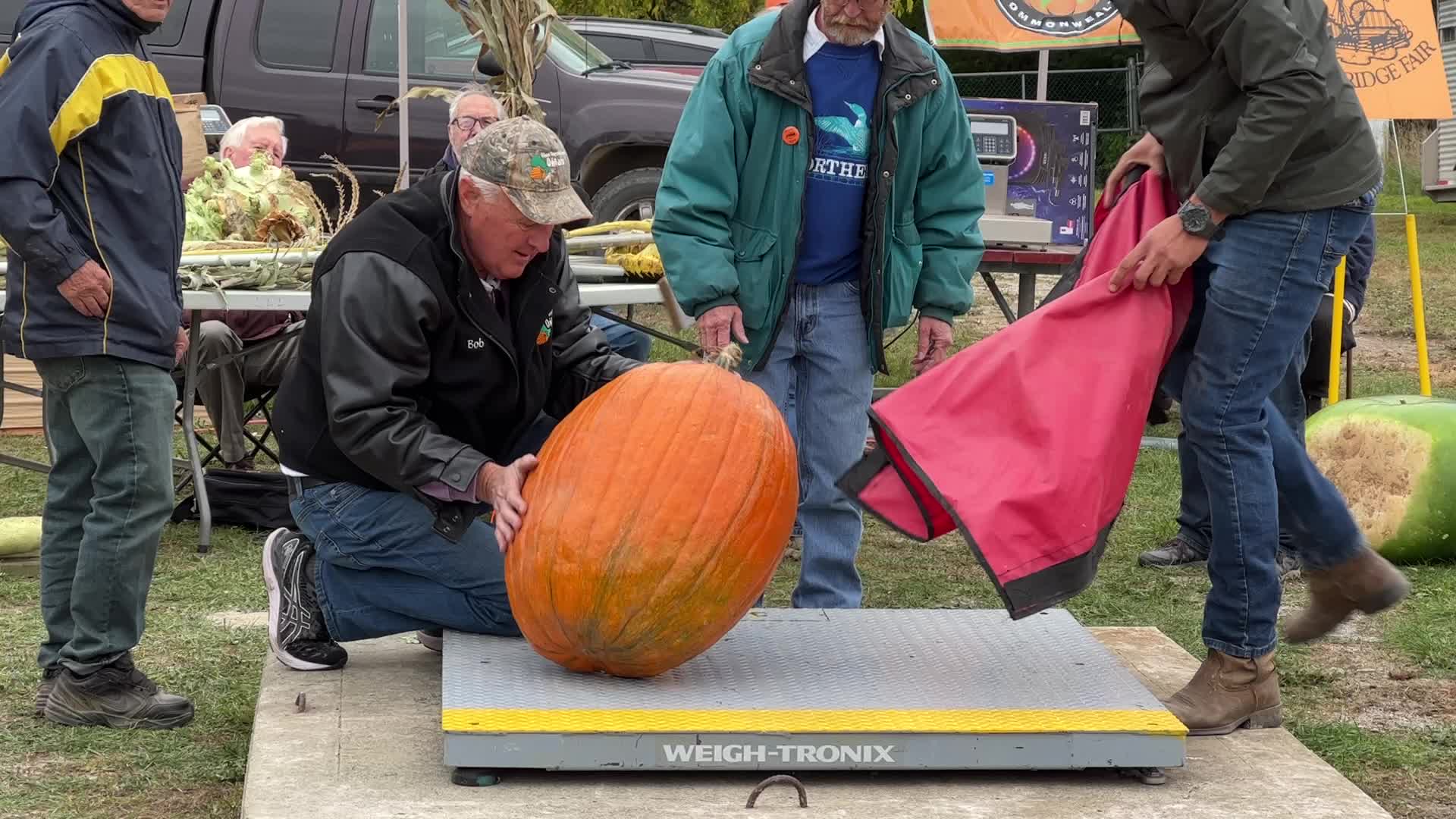 Great Pumpkin Commonwealth Giant Pumpkin Competition
