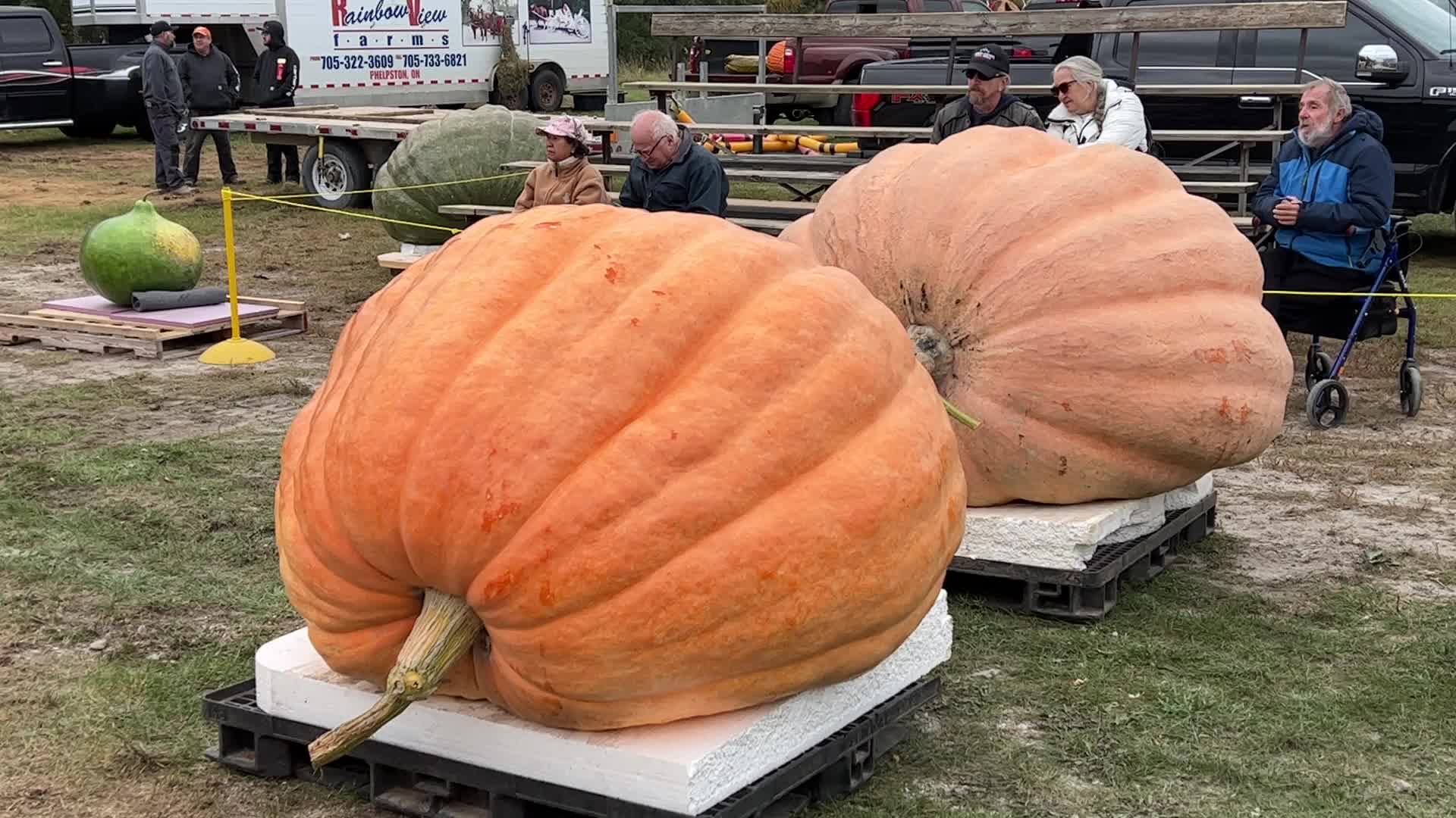 Great Pumpkin Commonwealth Giant Pumpkin Competition