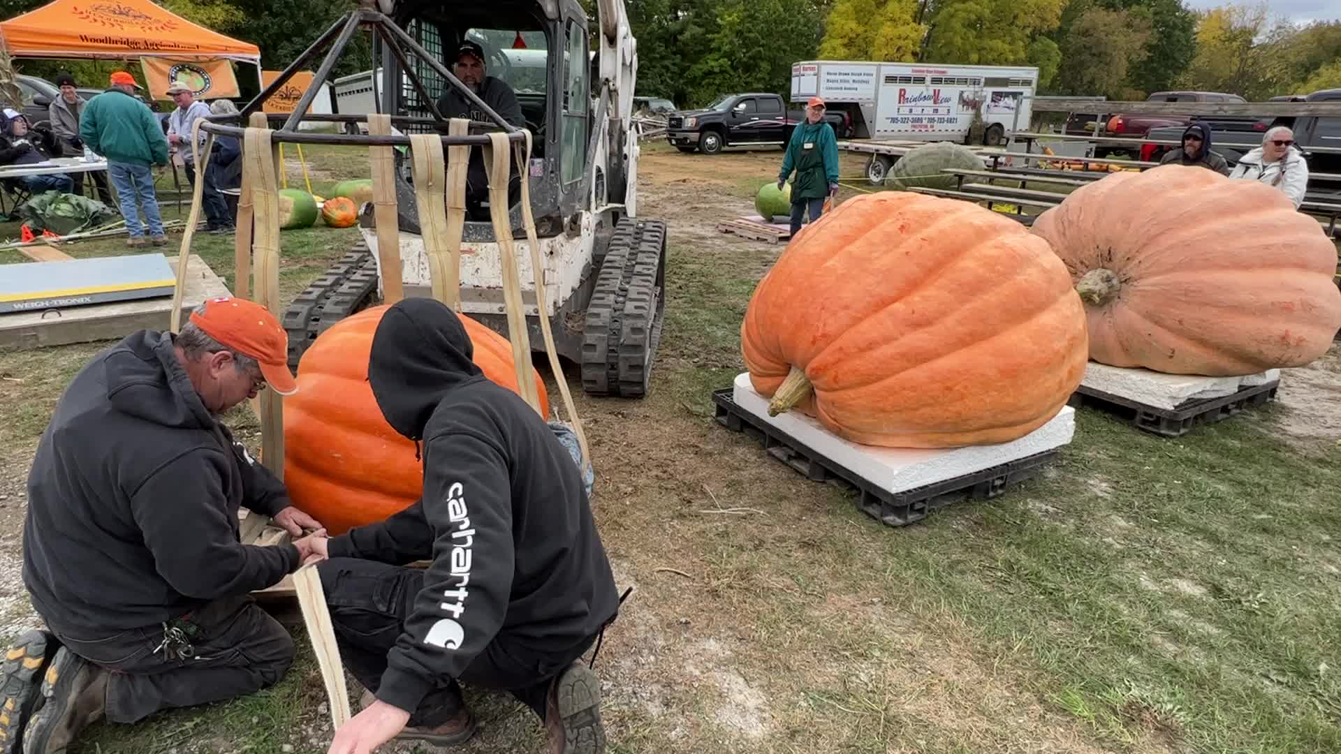 Great Pumpkin Commonwealth Giant Pumpkin Competition