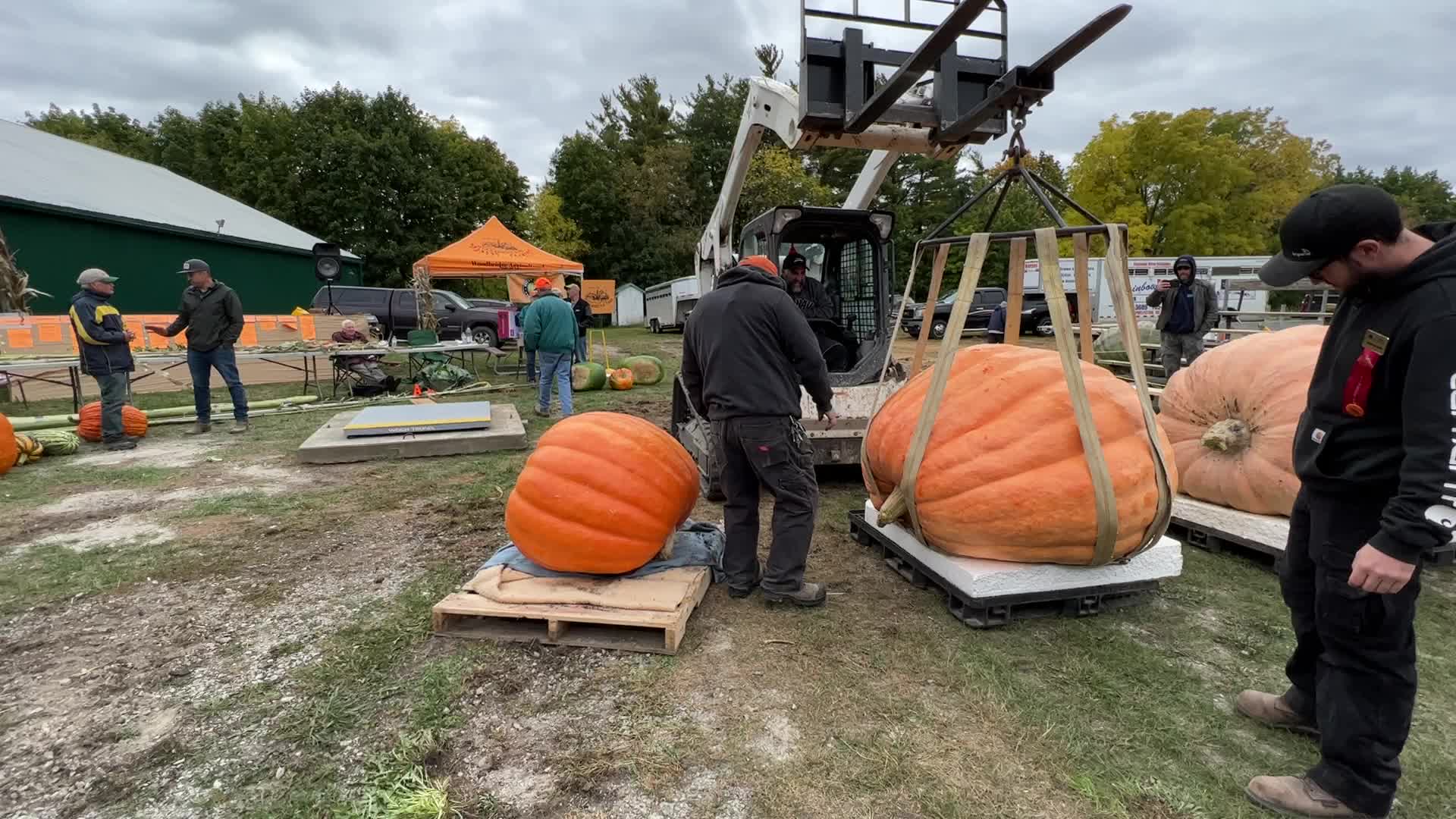 Great Pumpkin Commonwealth Giant Pumpkin Competition