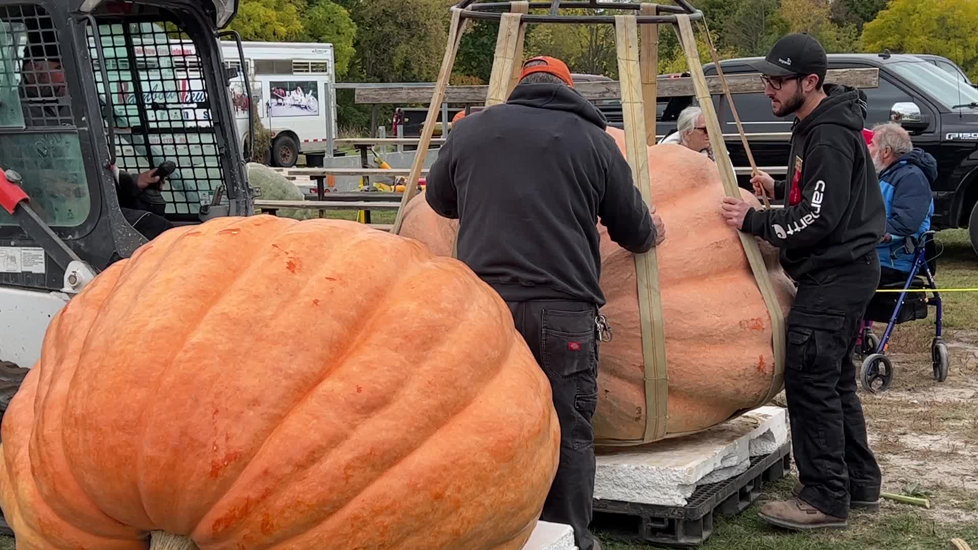 Great Pumpkin Commonwealth Giant Pumpkin Competition