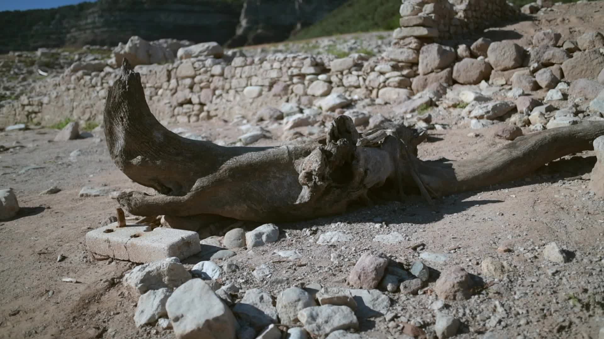 Drought in Catalonia