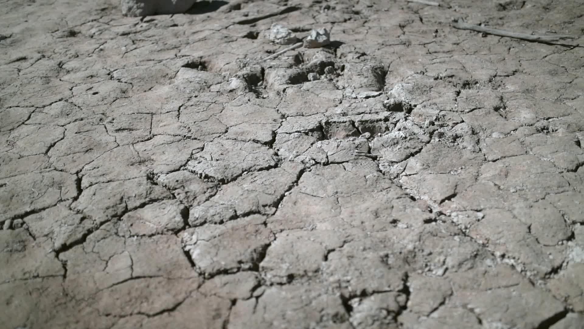 Drought in Catalonia