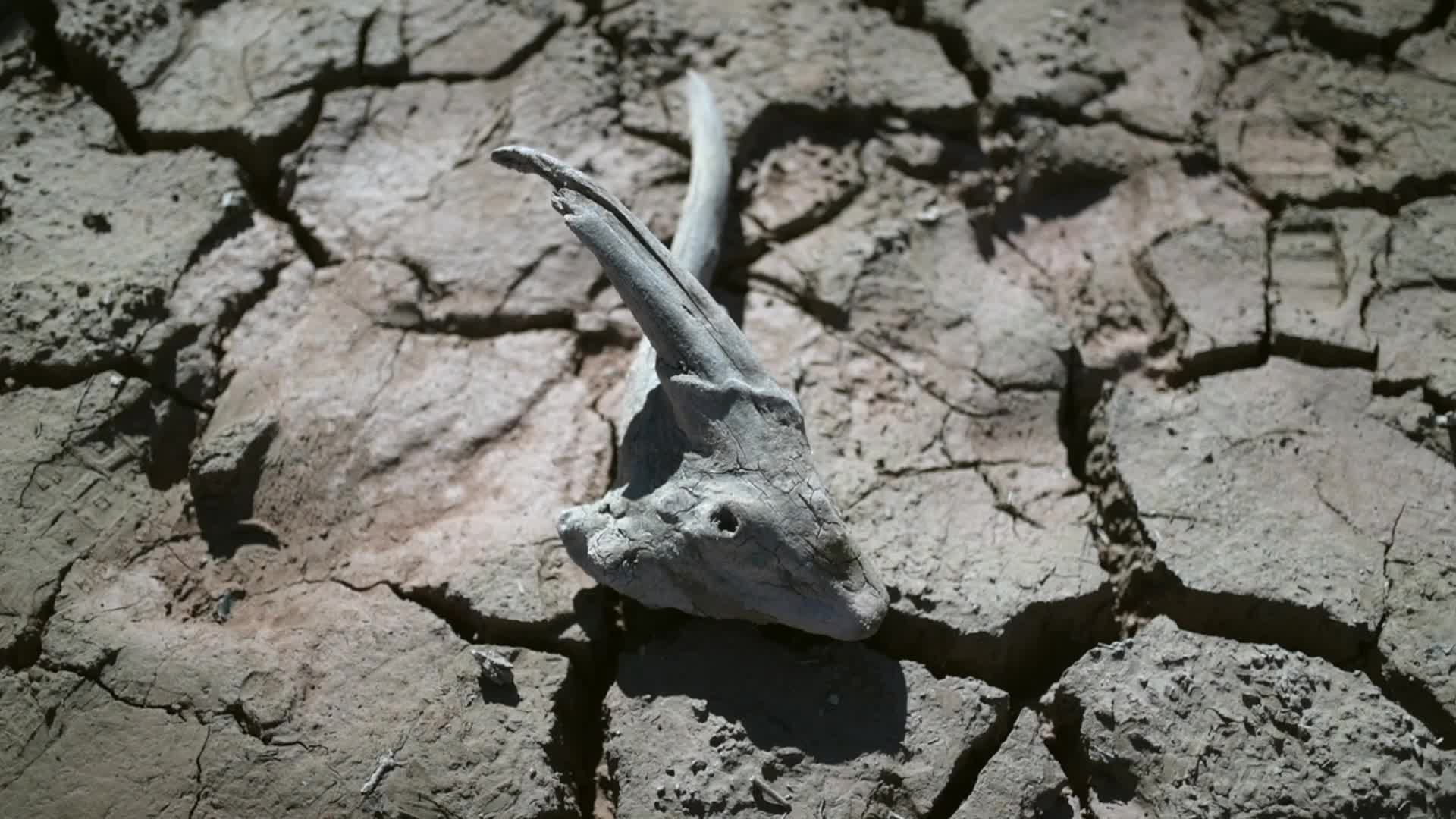 Drought in Catalonia