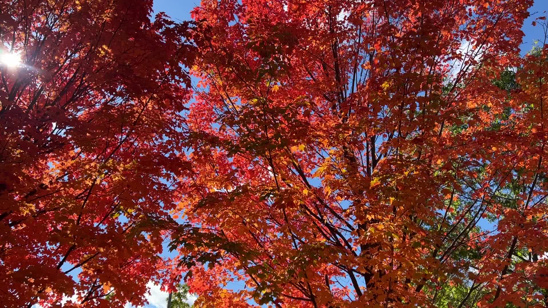 Autumn season in Canada