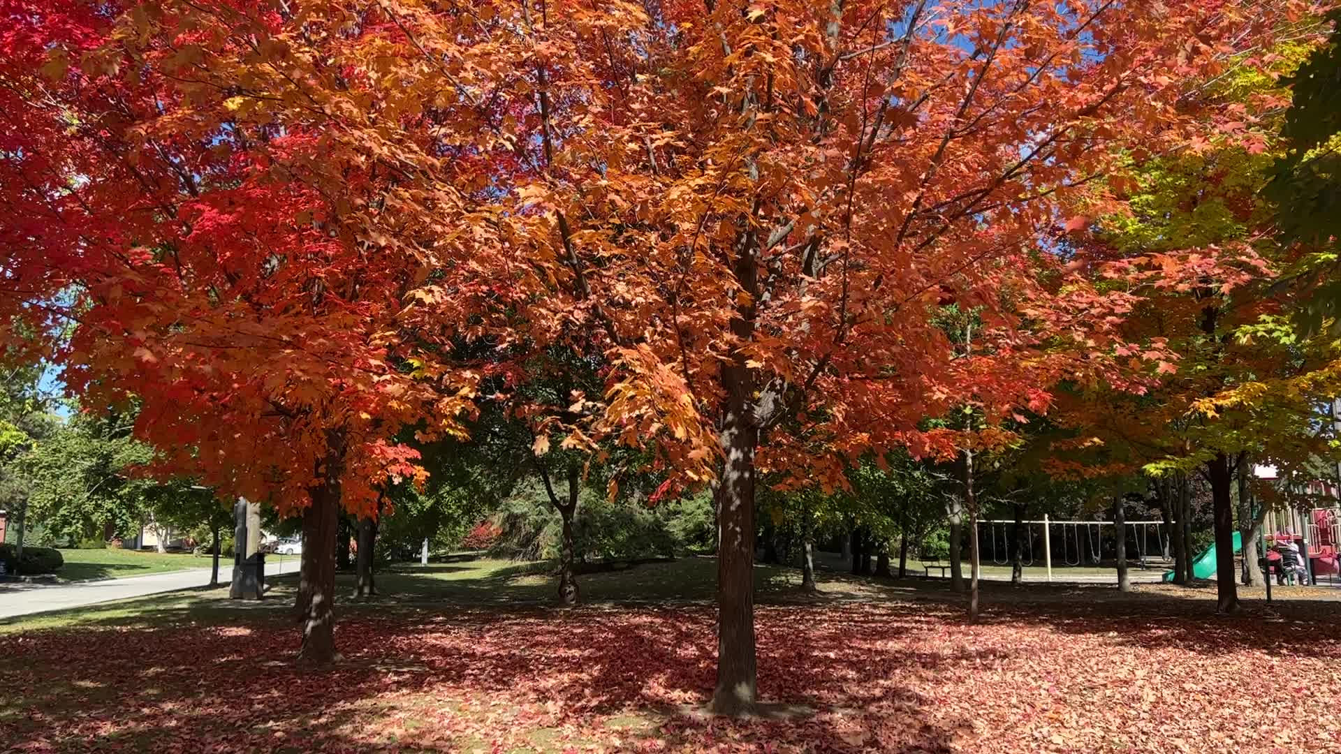 Autumn season in Canada