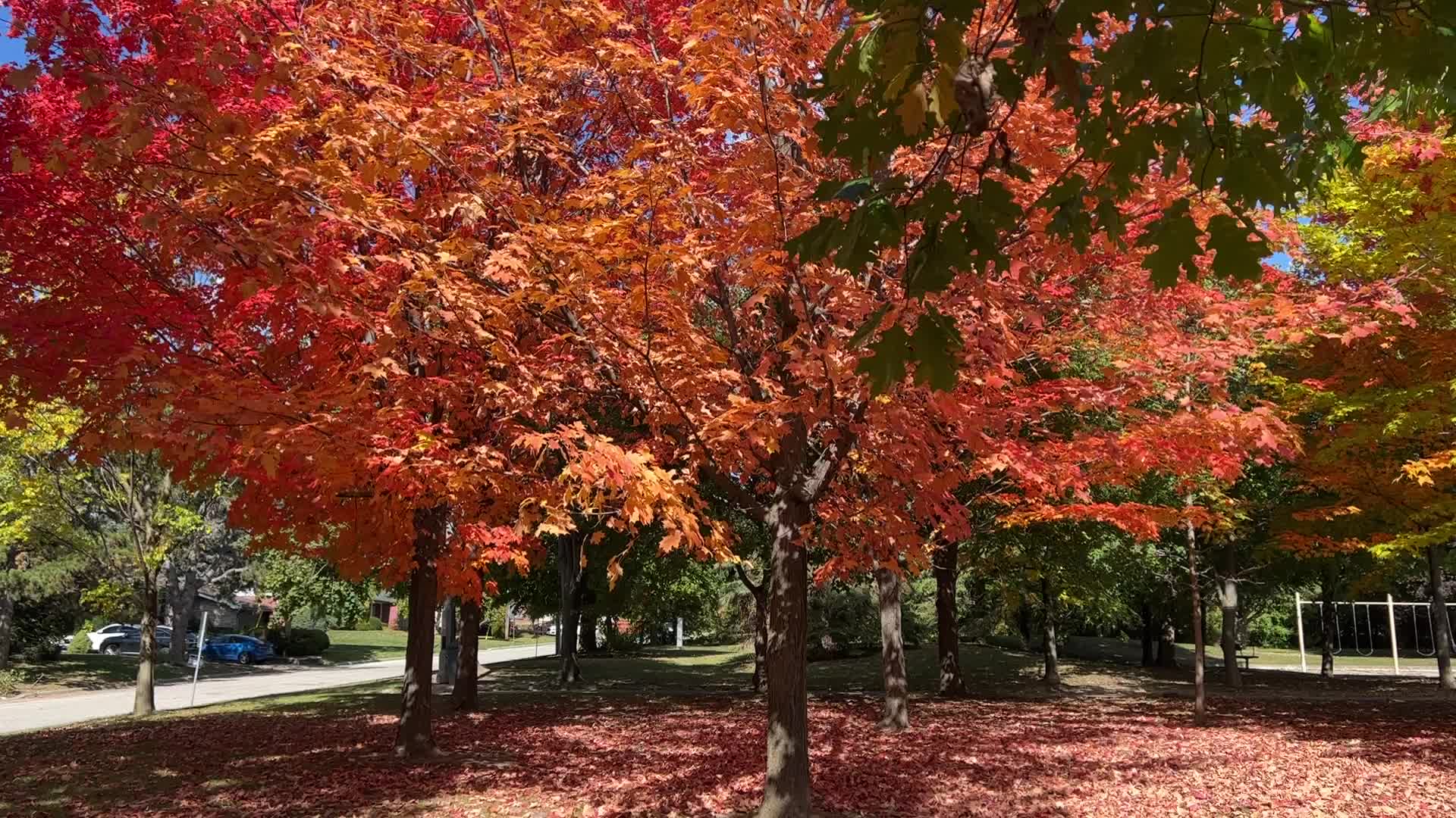 Autumn season in Canada