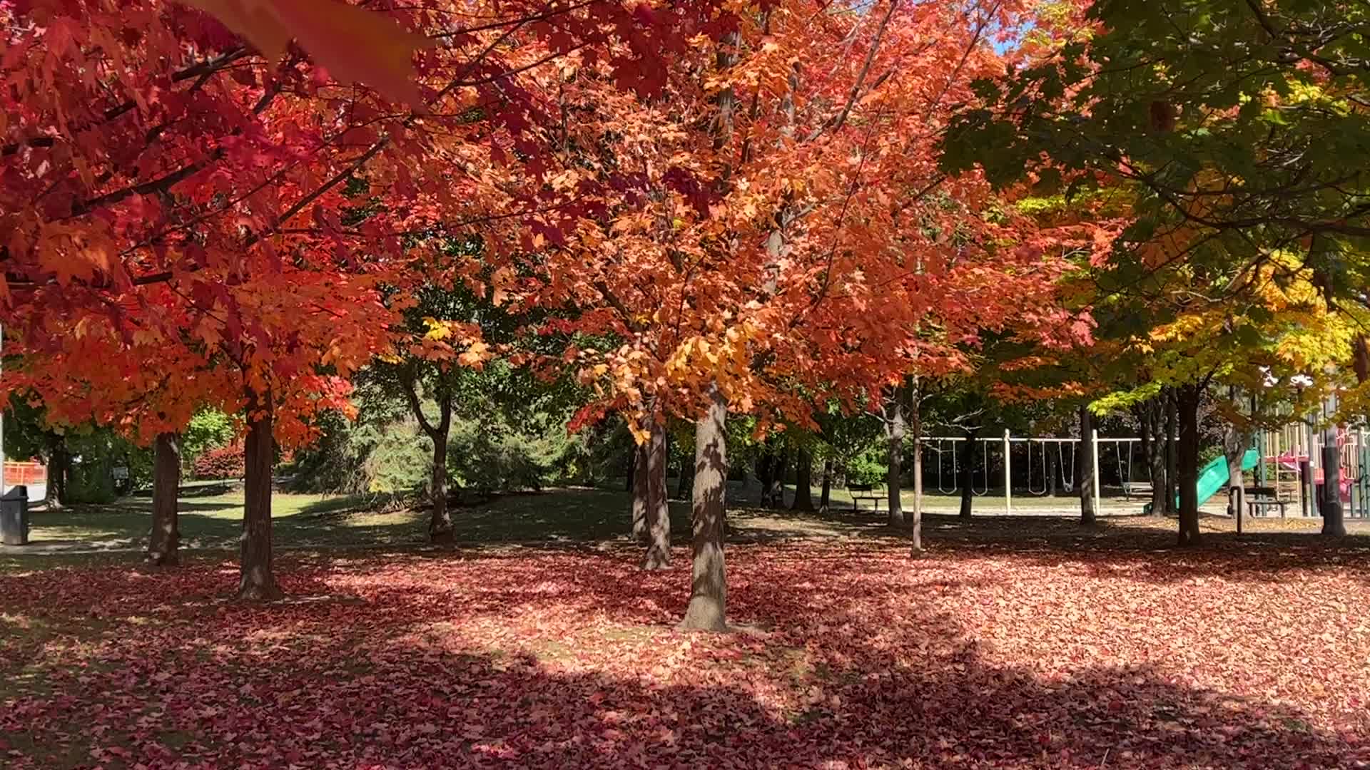 Autumn season in Canada