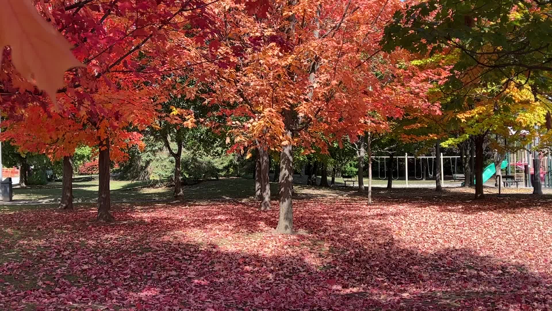 Autumn season in Canada