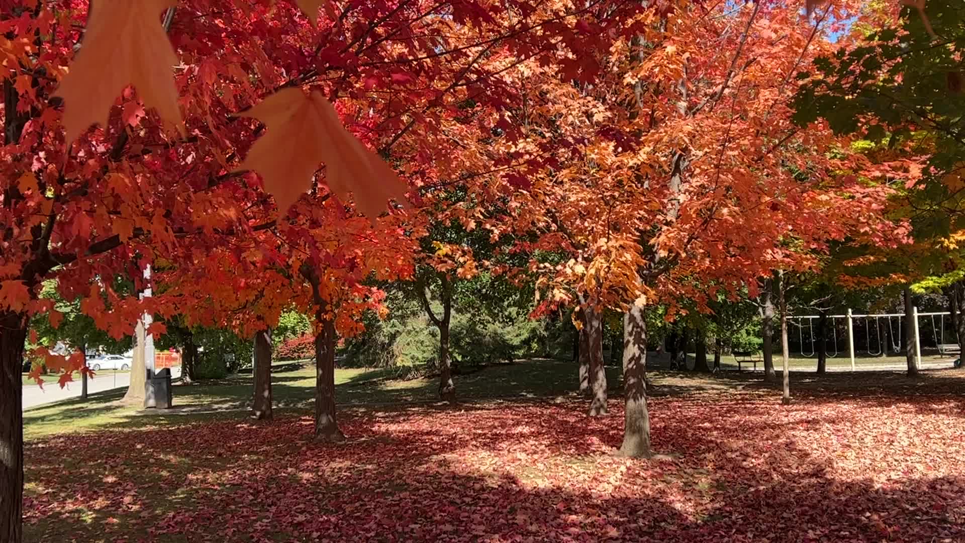 Autumn season in Canada