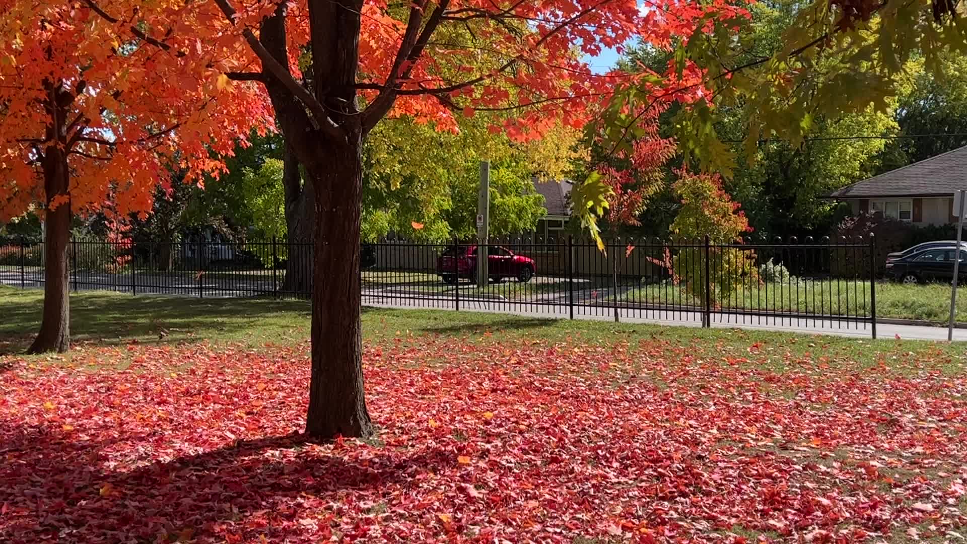 Autumn season in Canada