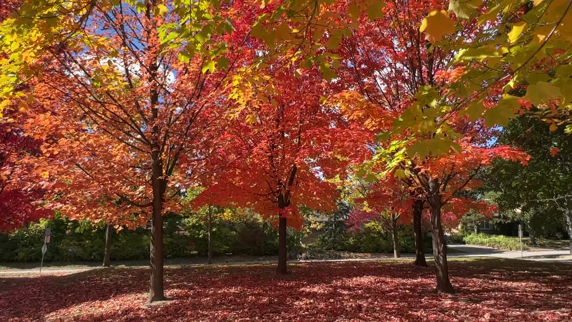 Autumn season in Canada