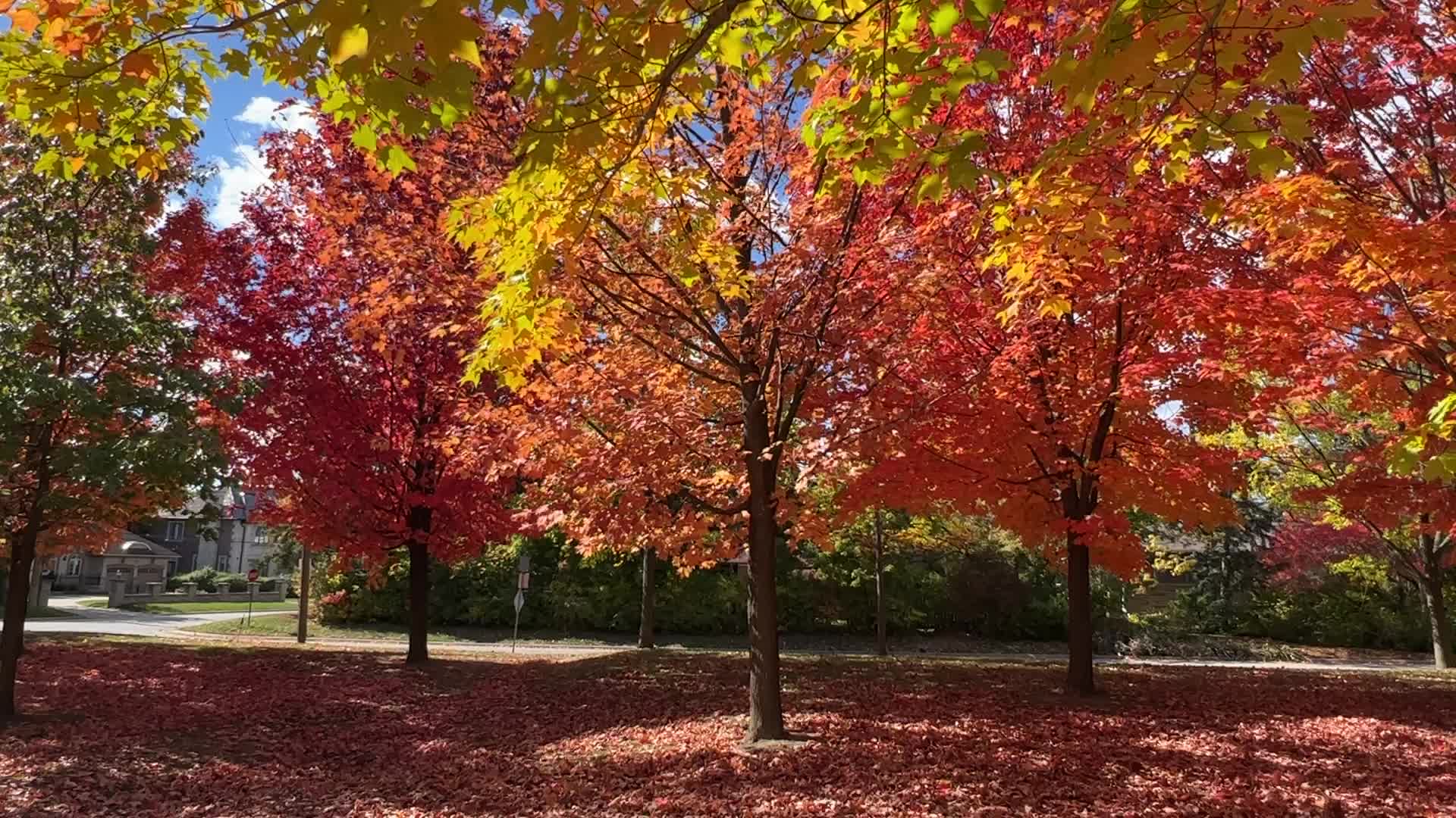 Autumn season in Canada