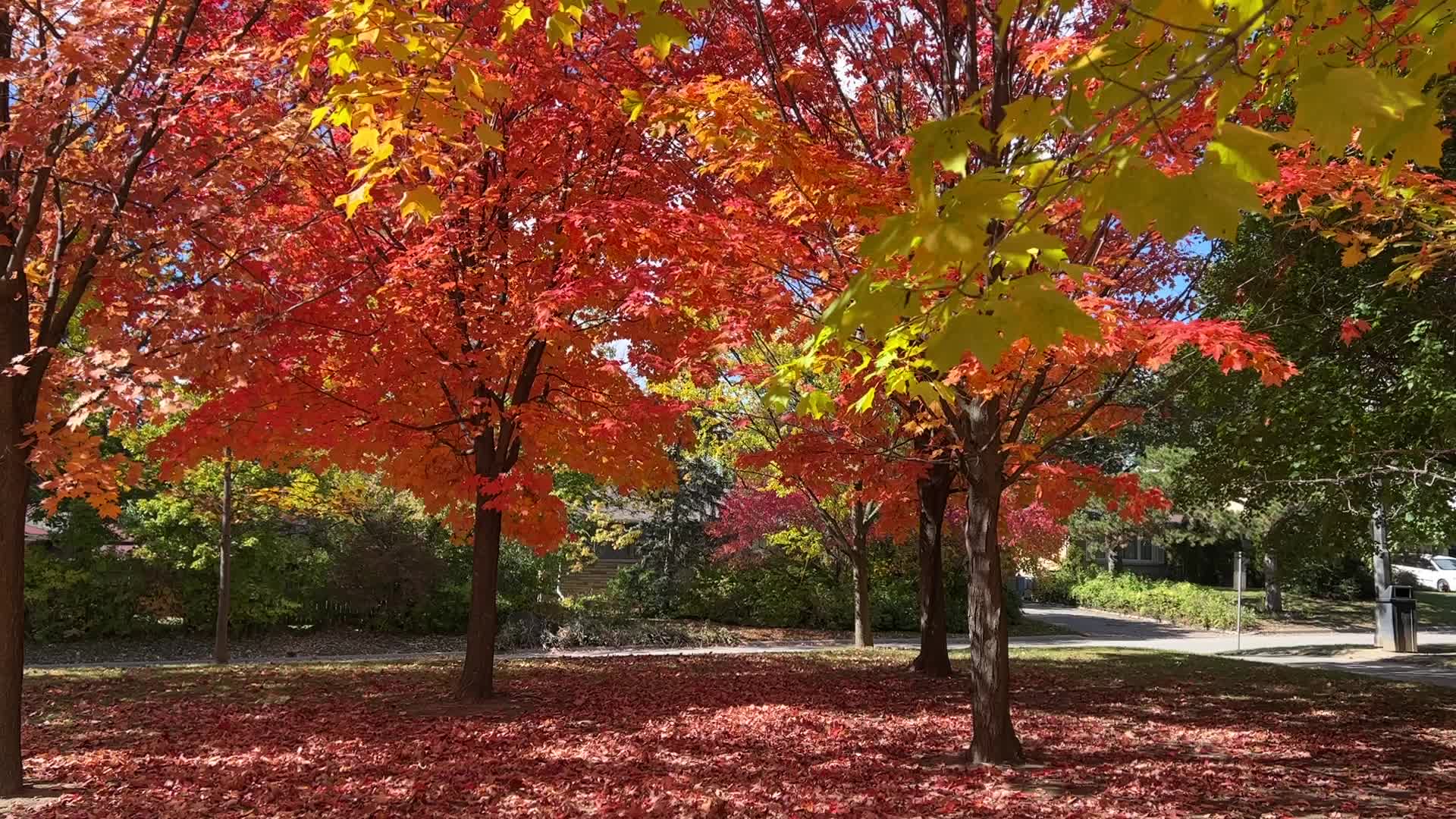 Autumn season in Canada