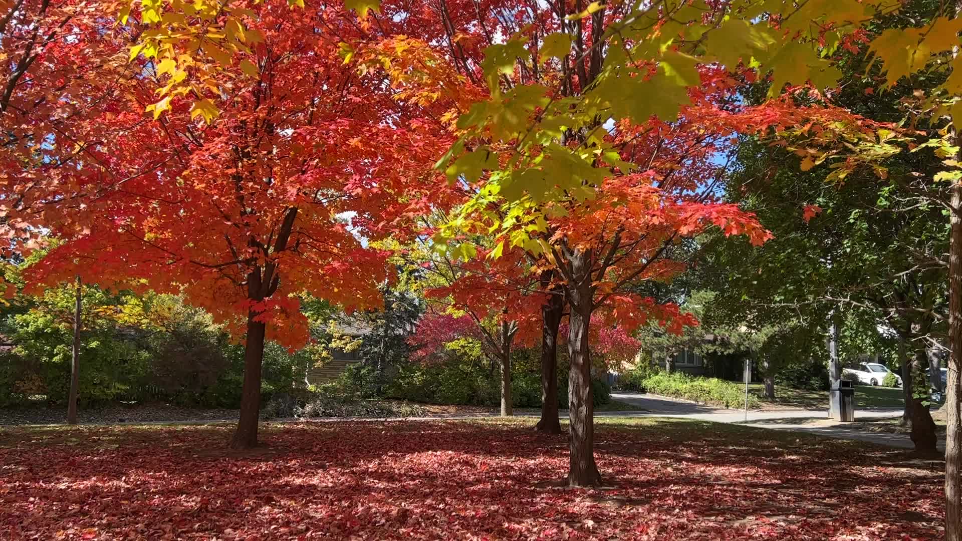 Autumn season in Canada