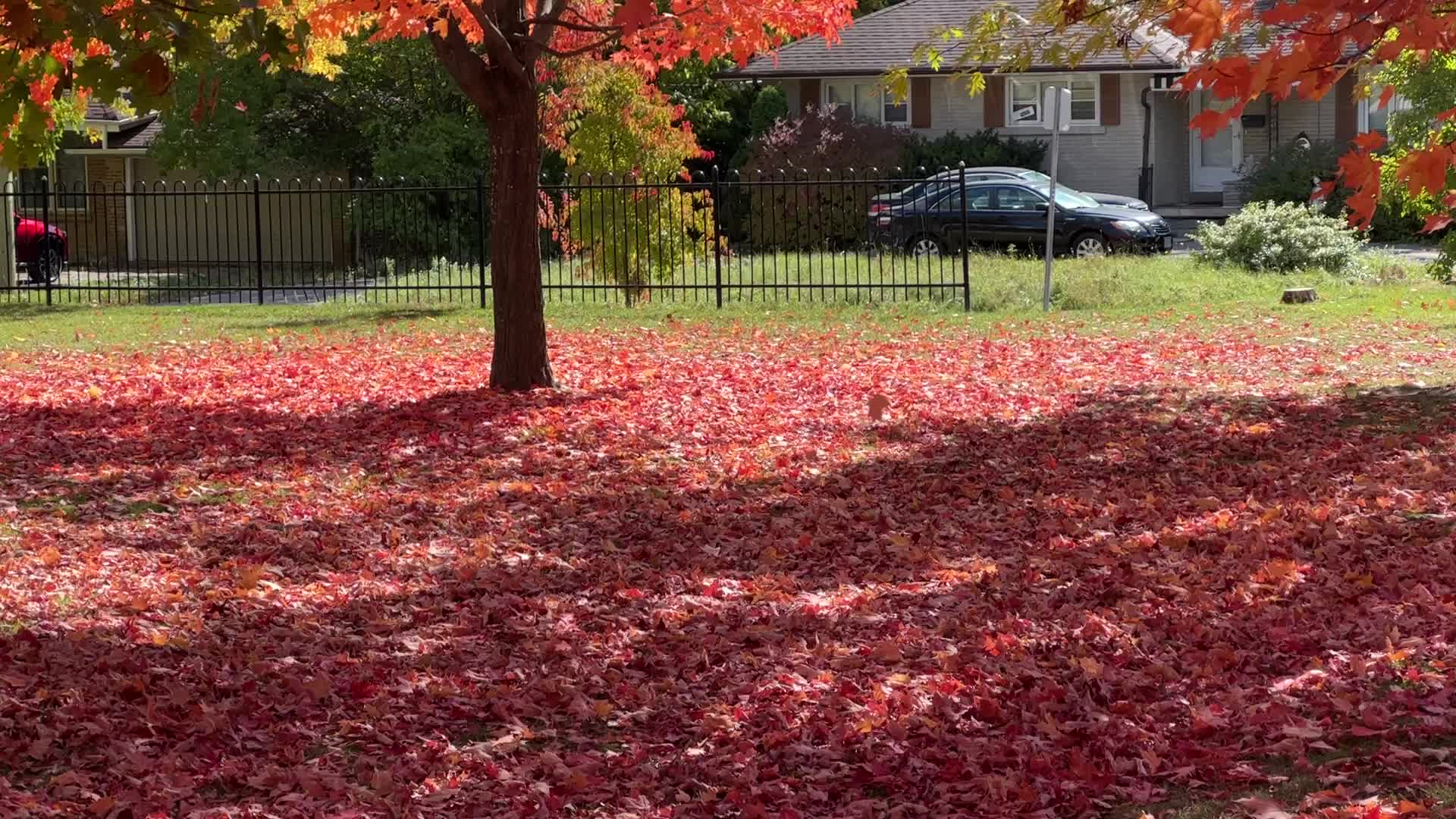 Autumn season in Canada