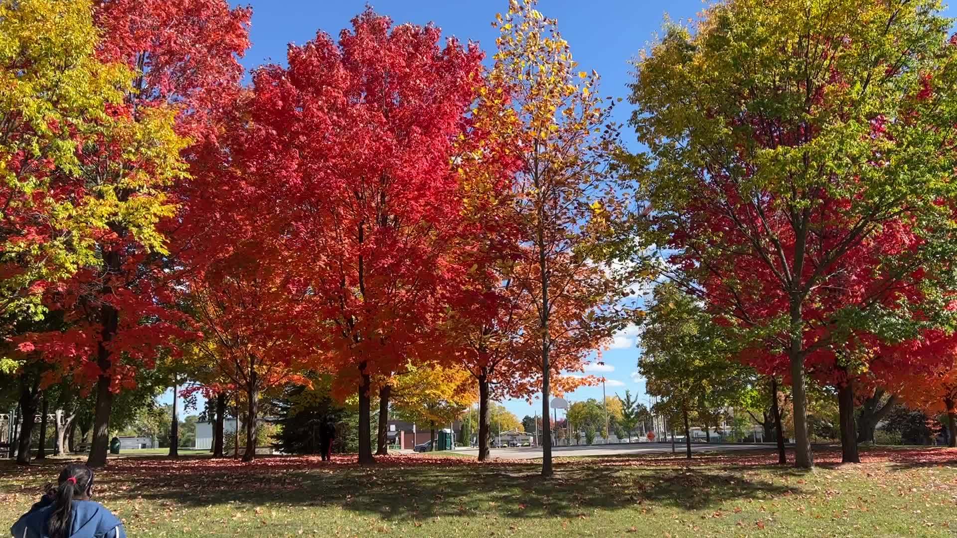 Autumn season in Canada