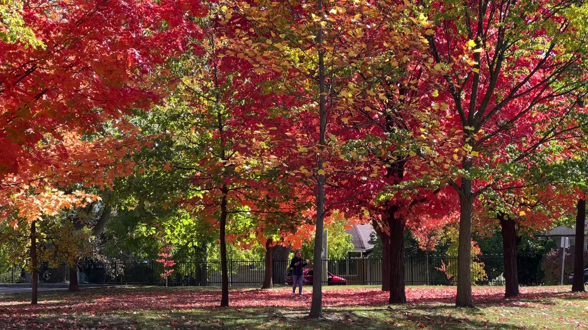 Autumn season in Canada