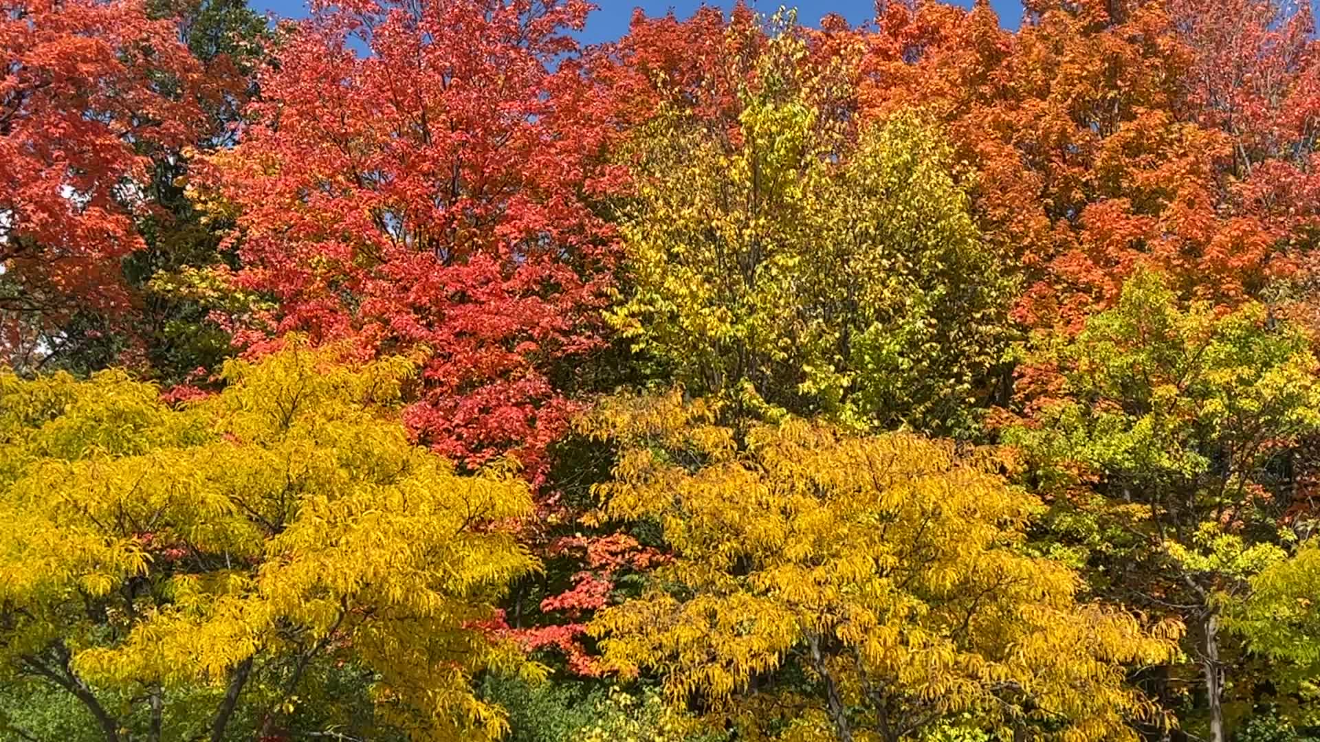 Autumn season in Canada
