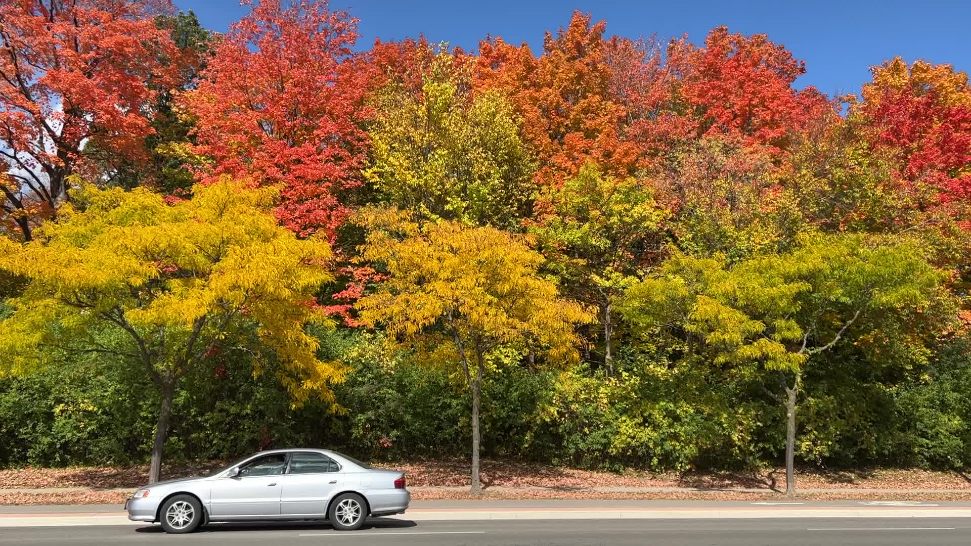 Autumn season in Canada