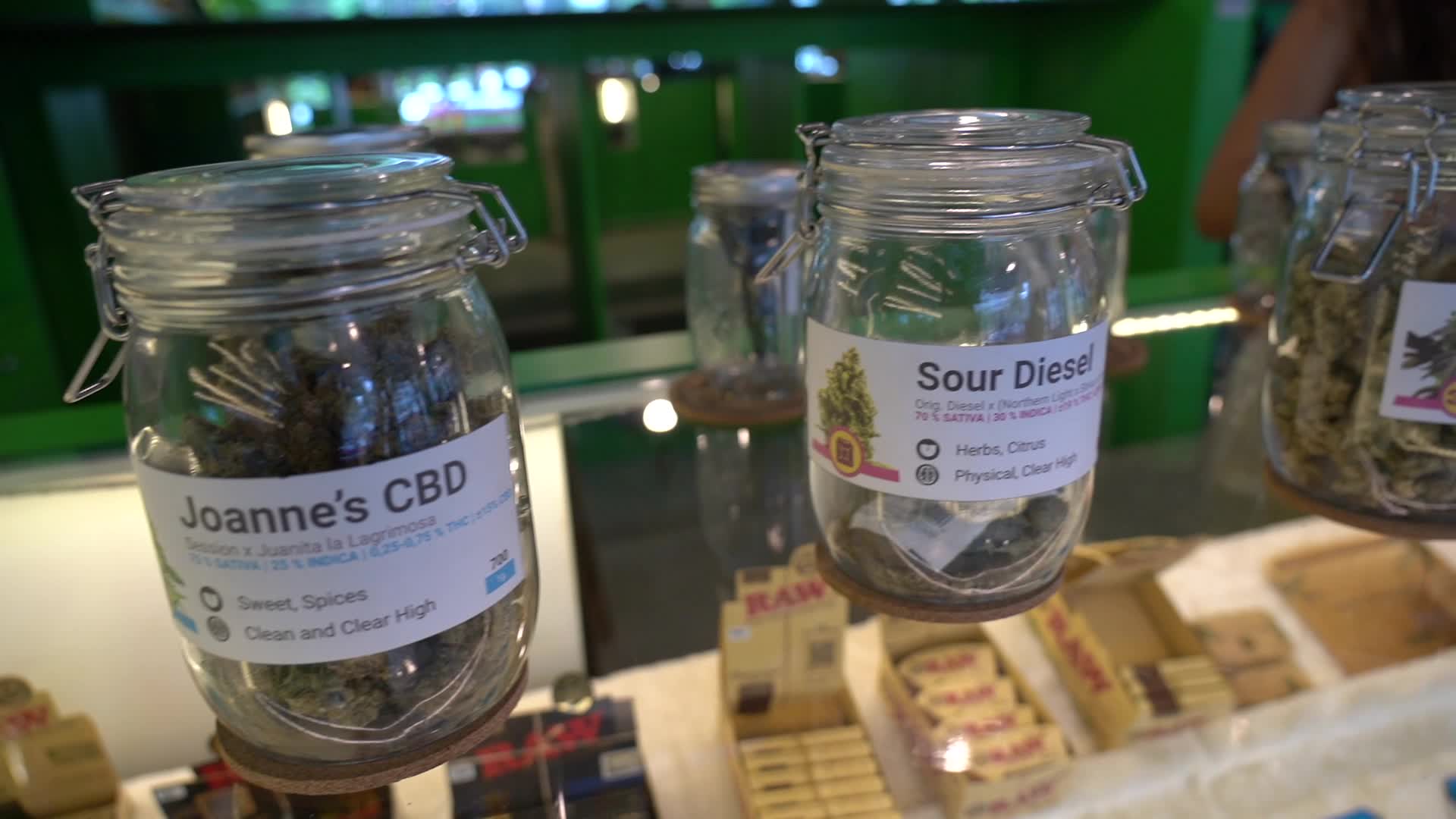 Royal Queen Seeds Open Marijuana Smoking Lounge in Bangkok.