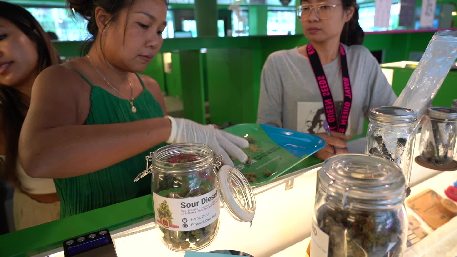 Royal Queen Seeds Open Marijuana Smoking Lounge in Bangkok.