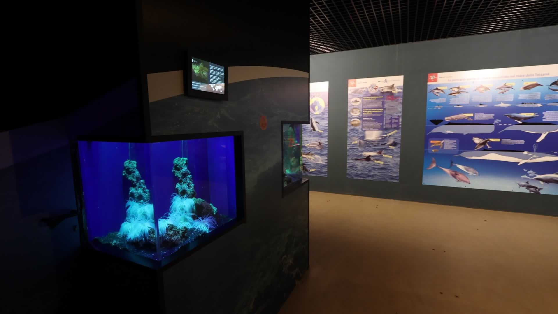 Aquarium Of Livorno, Italy
