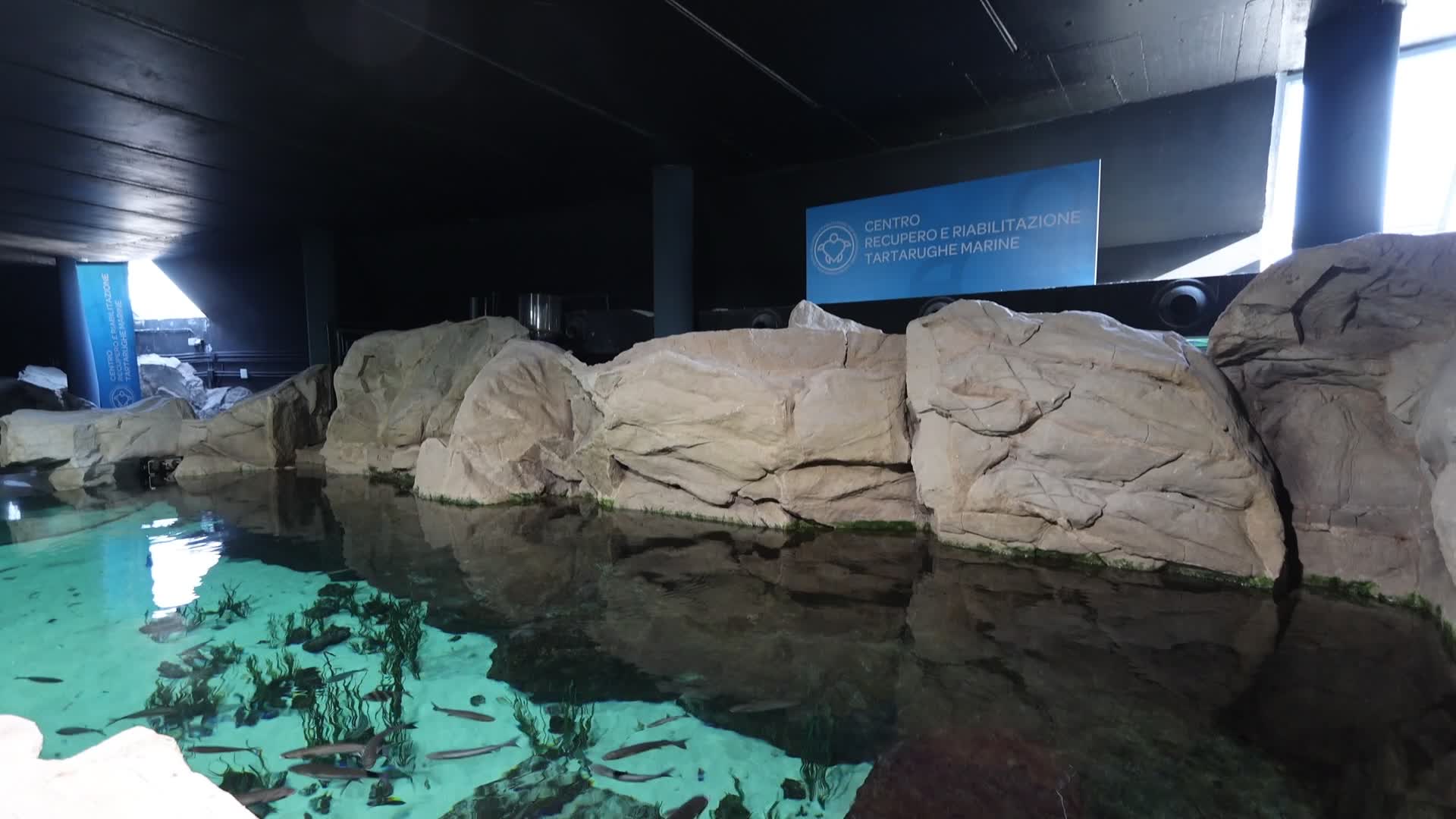 Aquarium Of Livorno, Italy