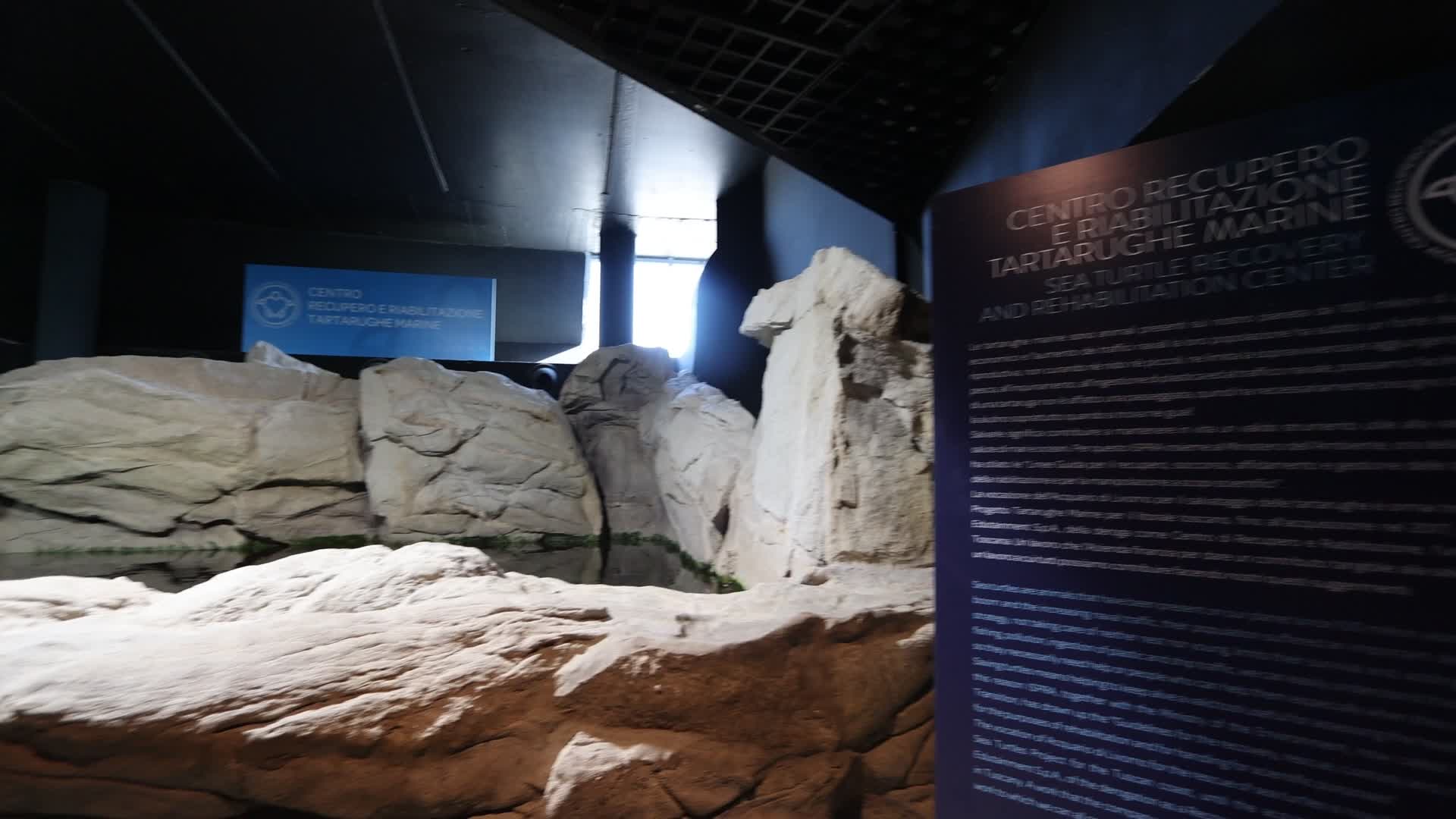 Aquarium Of Livorno, Italy