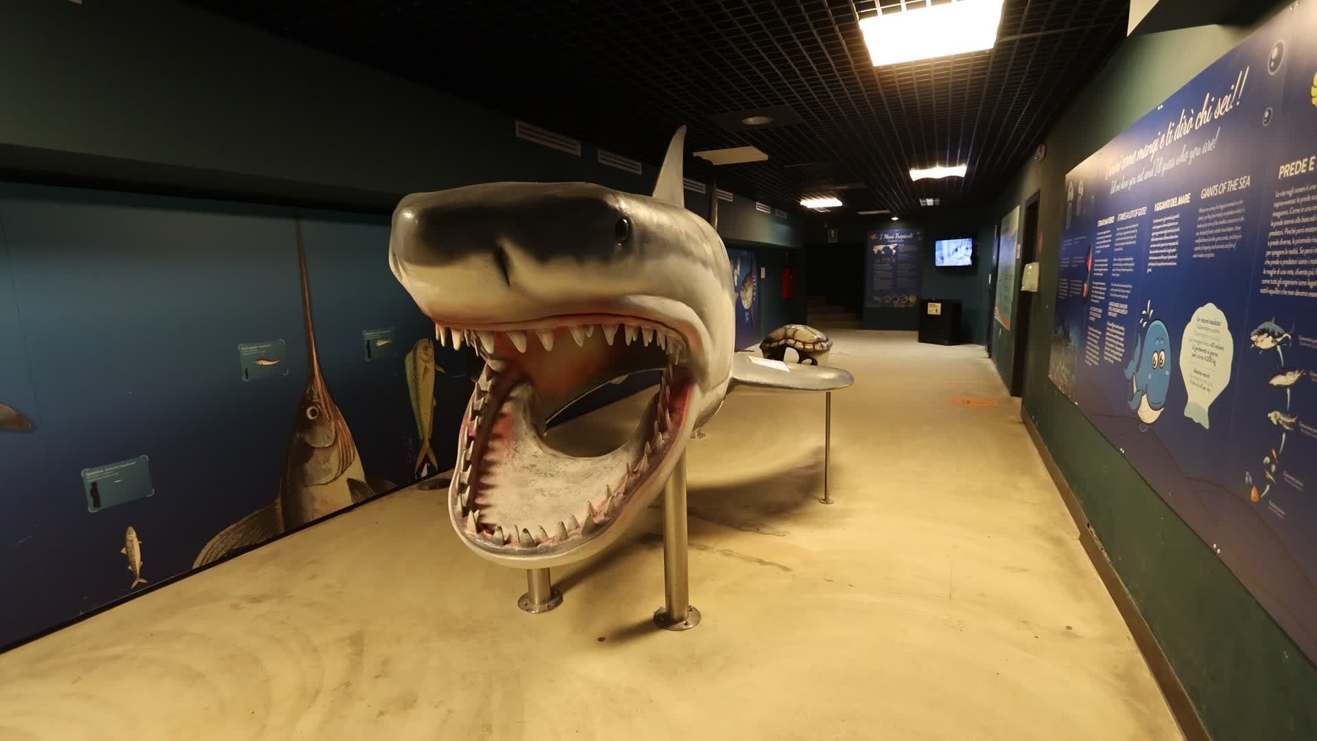Aquarium Of Livorno, Italy