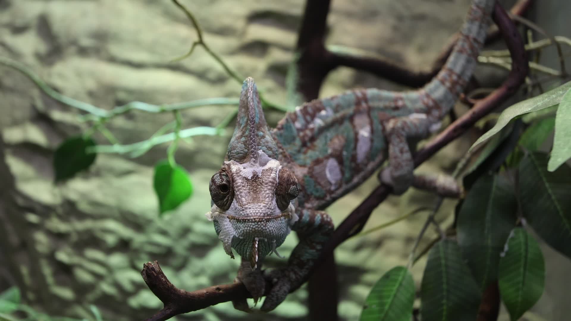 Aquarium Of Livorno, Italy