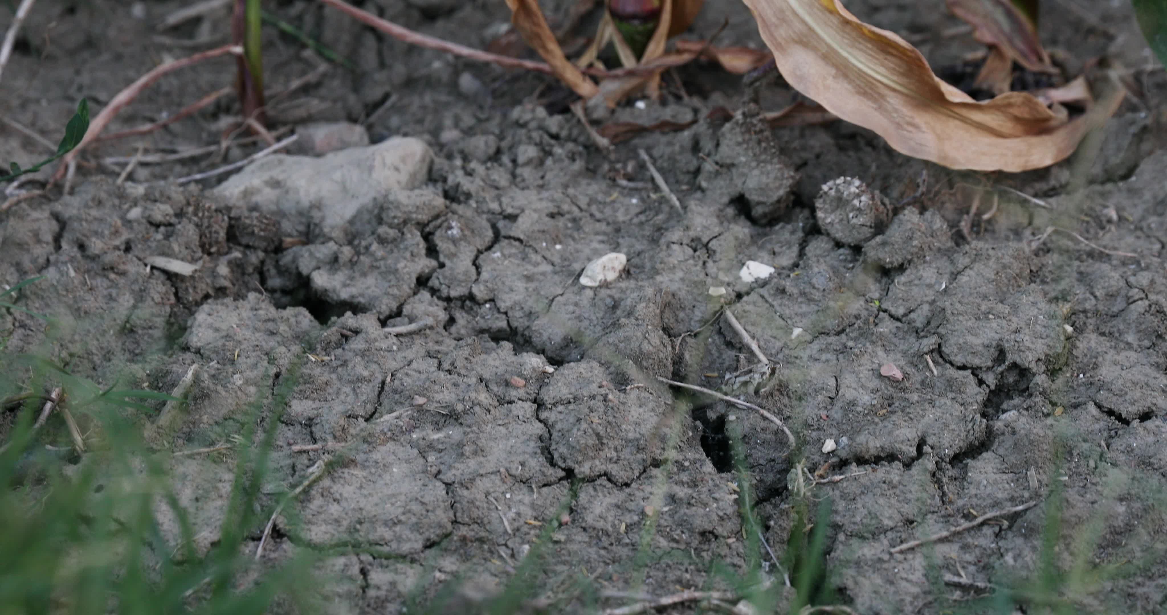 Drought: Italy Warns a Third of Farm Production At Risk