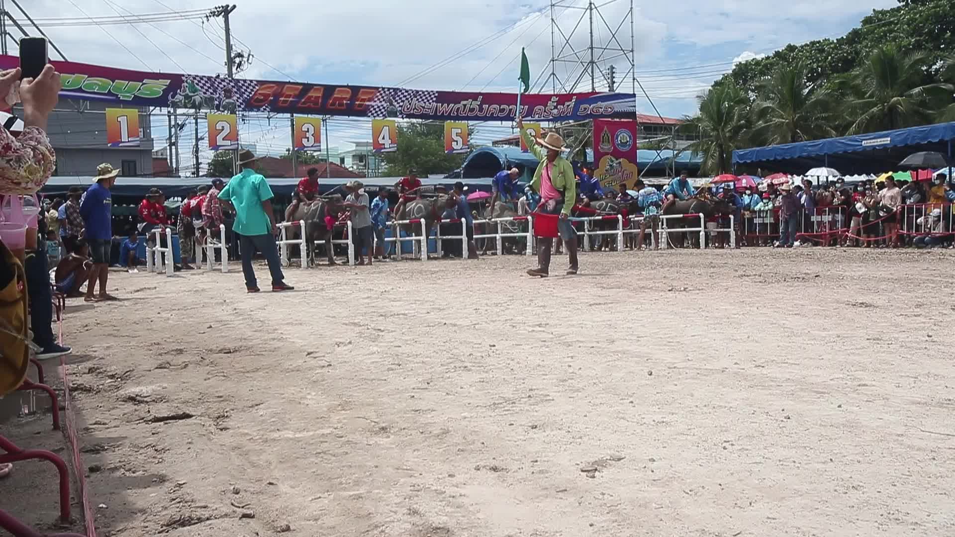 Chonburi's Annual Buffalo Race Festival