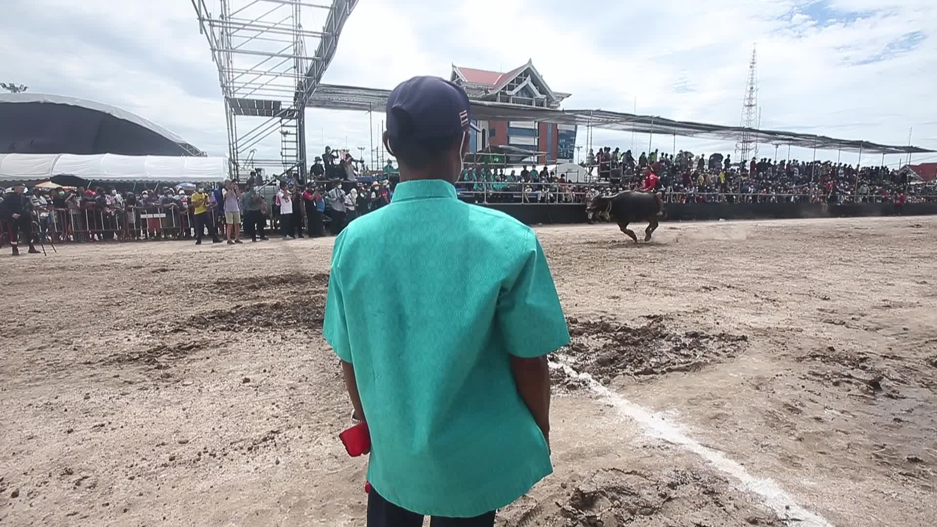Chonburi's Annual Buffalo Race Festival
