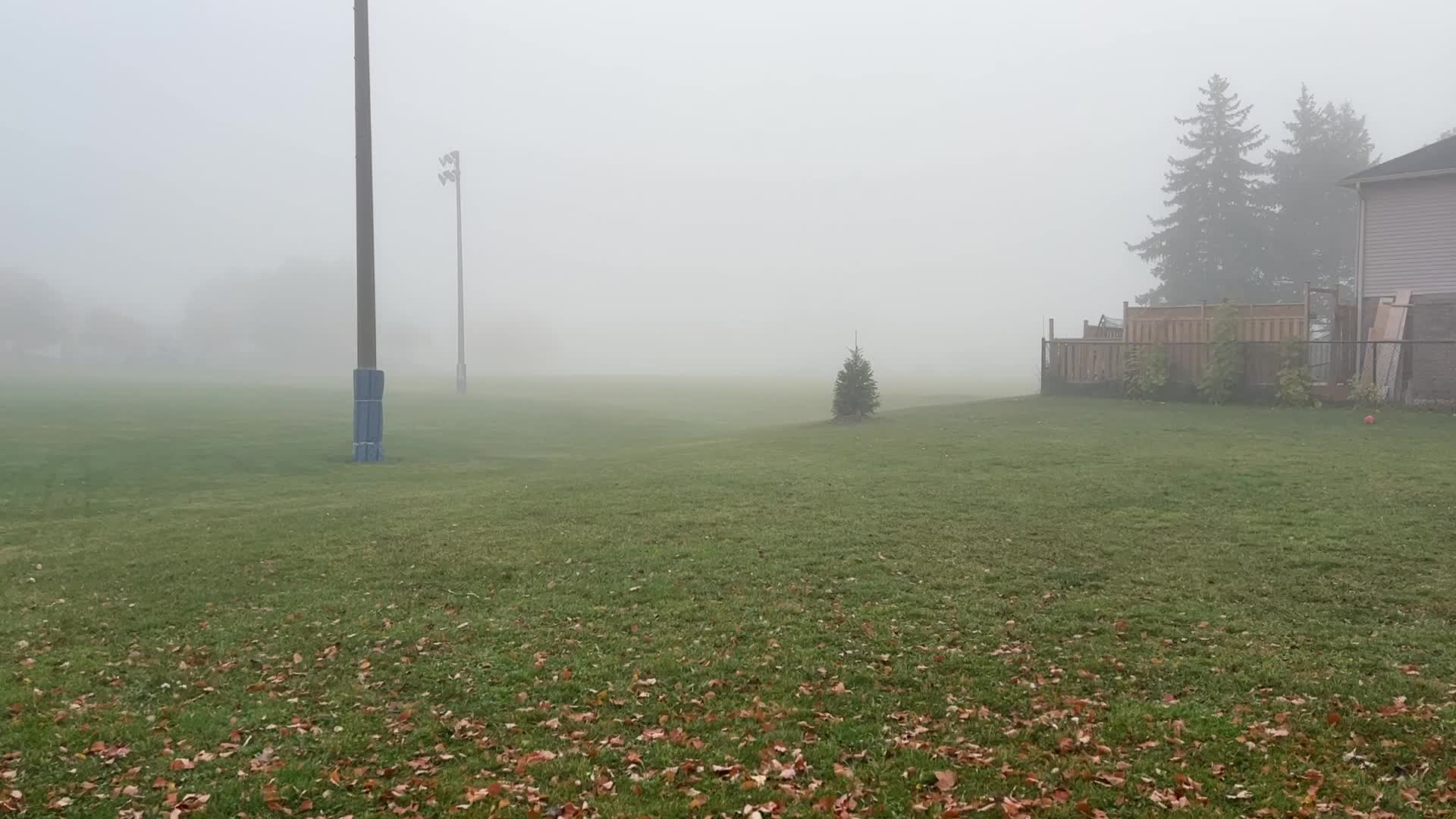 Foggy morning during the Autumn season