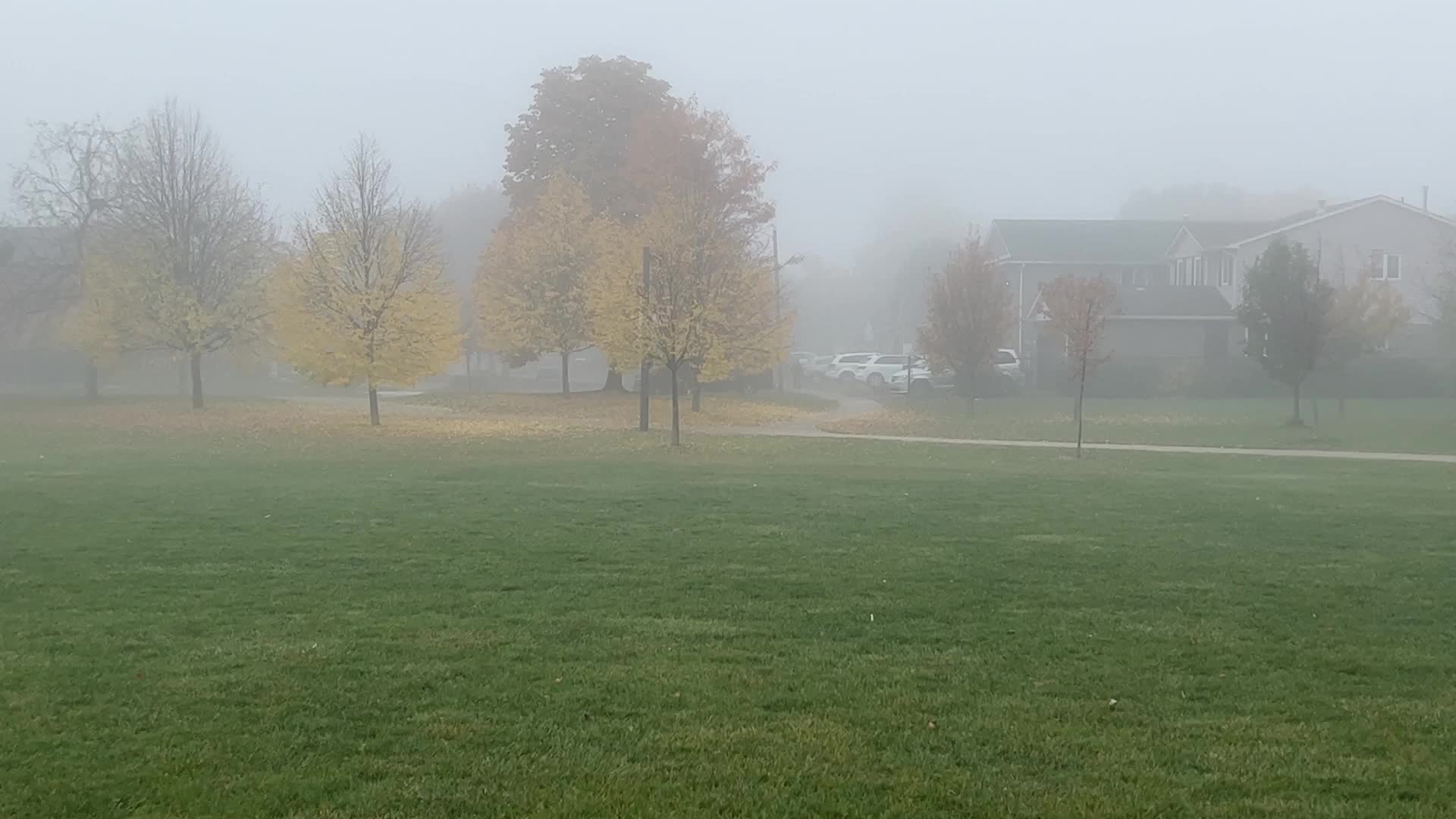 Foggy morning during the Autumn season