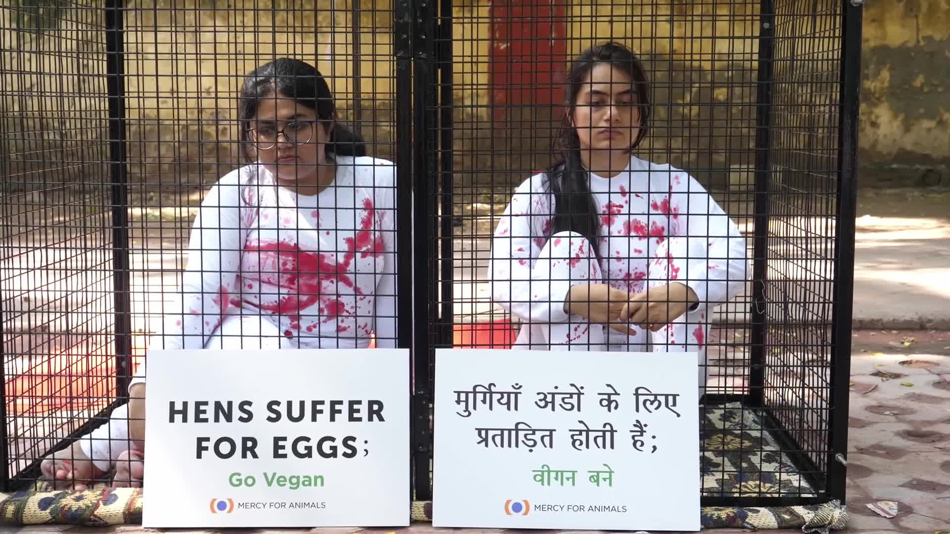 Vegan Activists Protest in New Delhi, India