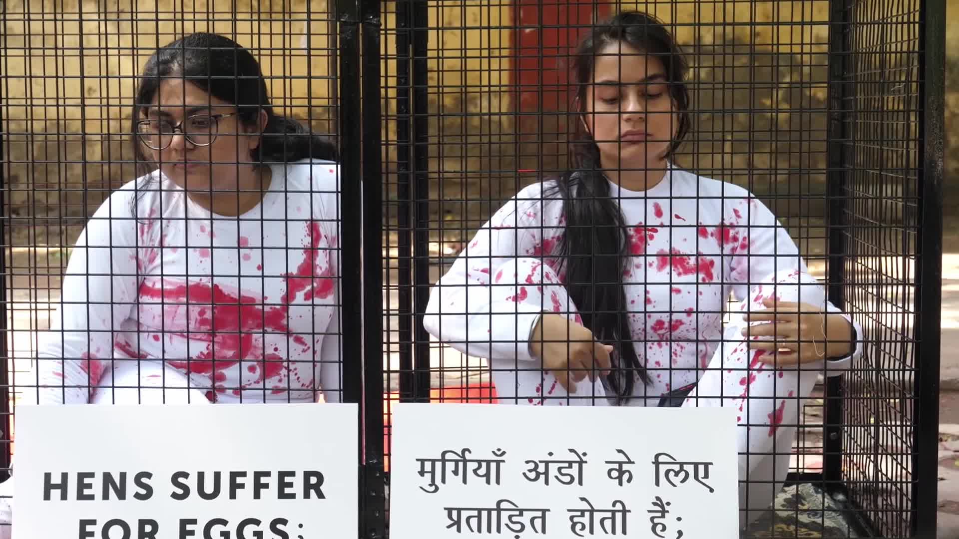 Vegan Activists Protest in New Delhi, India