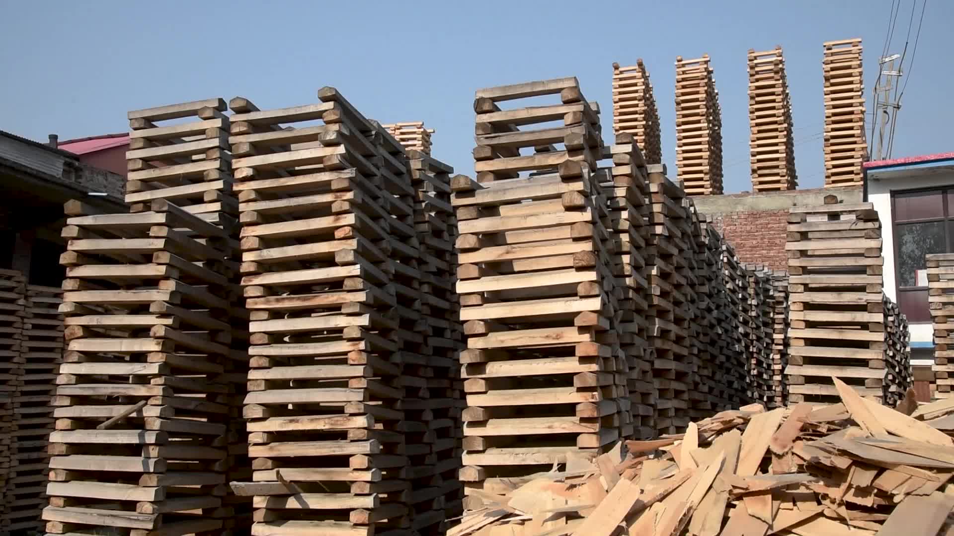 Manufacturing of Cricket bats in Kashmir, India.