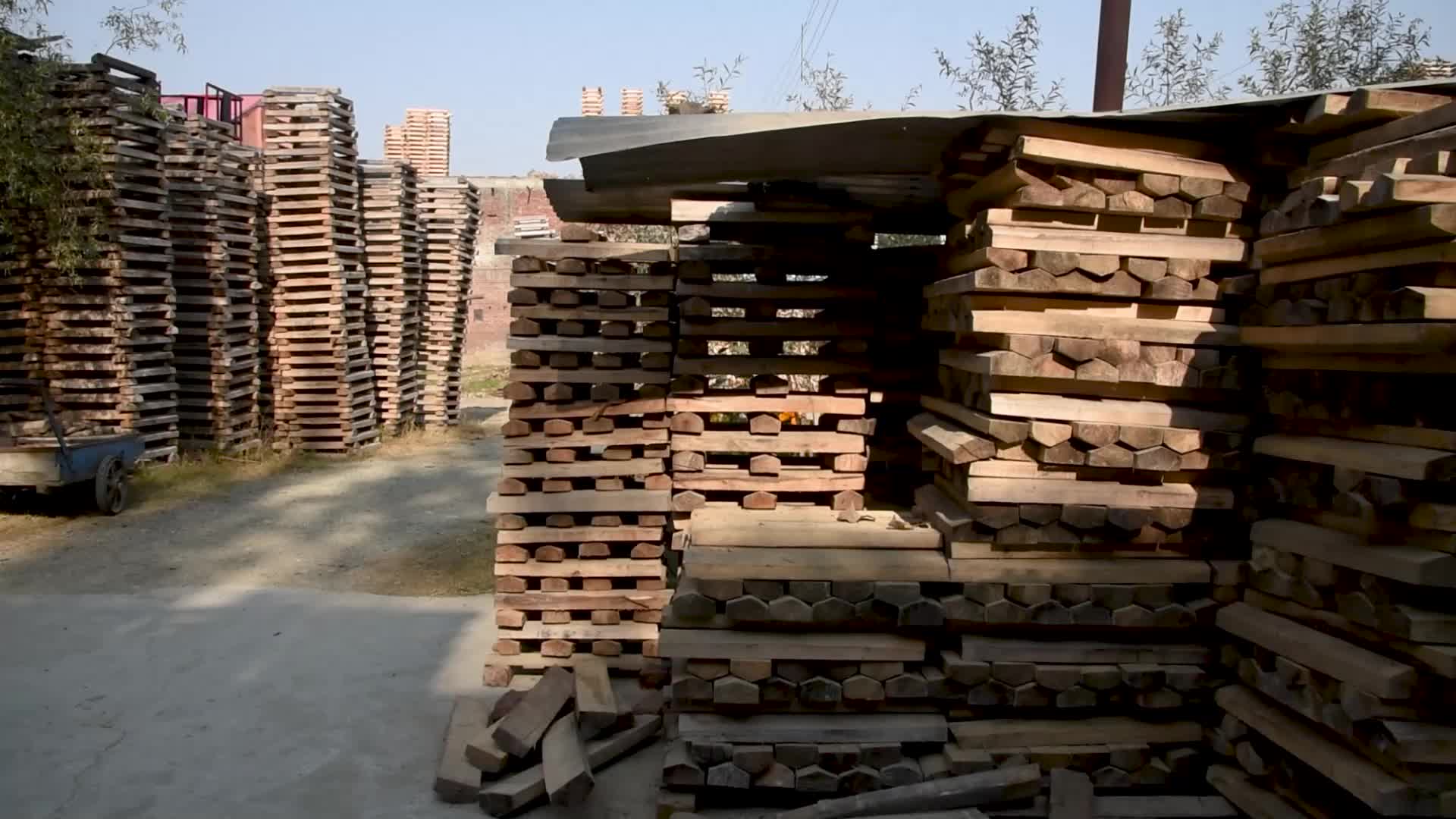 Manufacturing of Cricket bats in Kashmir, India.