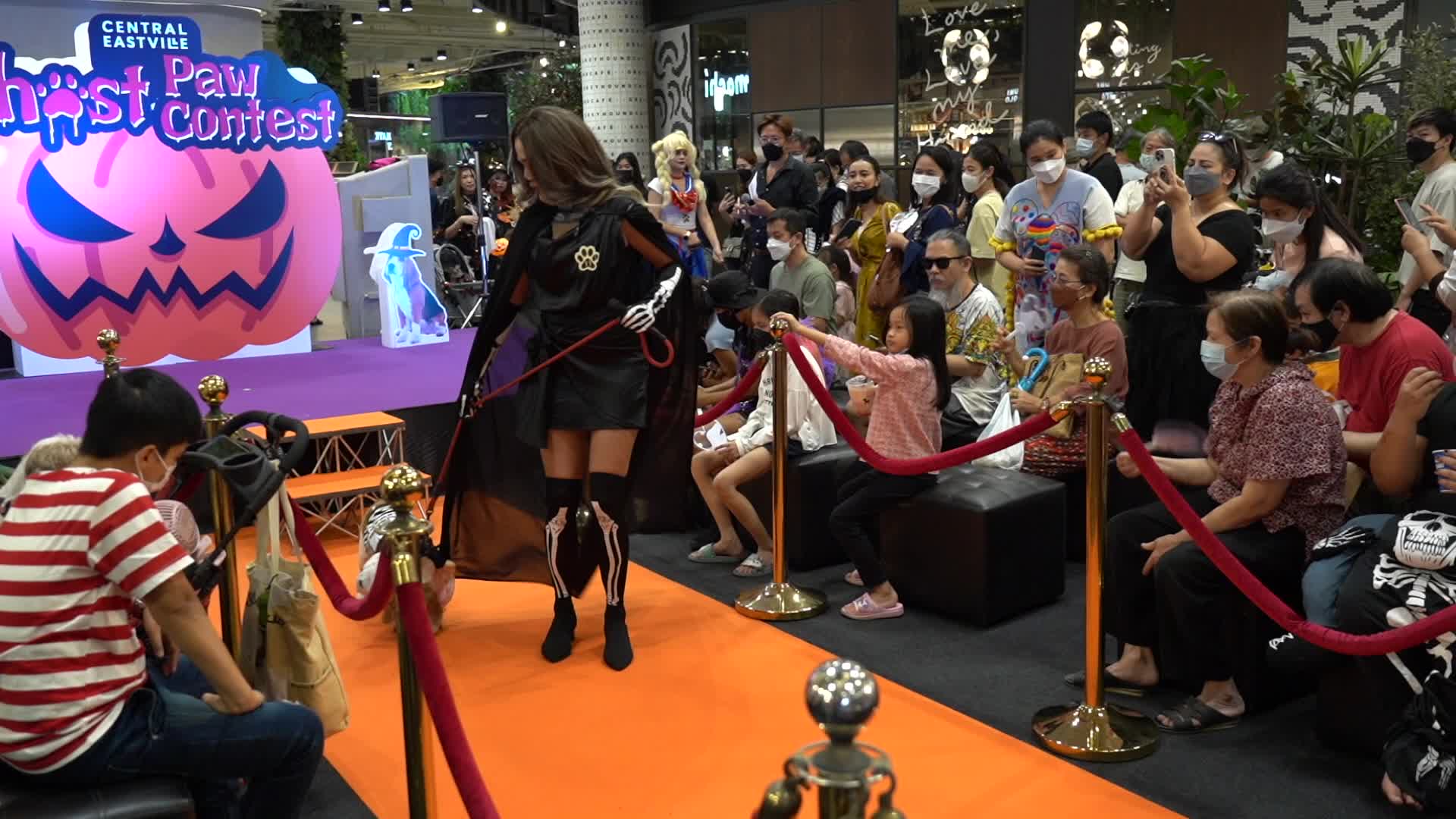 Halloween Dog Dressing Contest in Bangkok