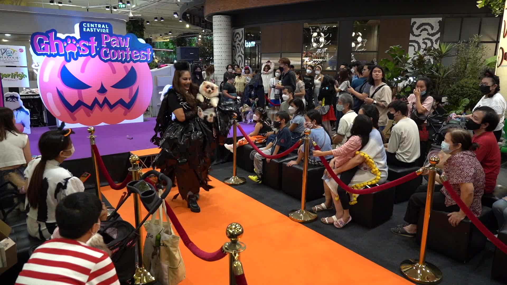 Halloween Dog Dressing Contest in Bangkok