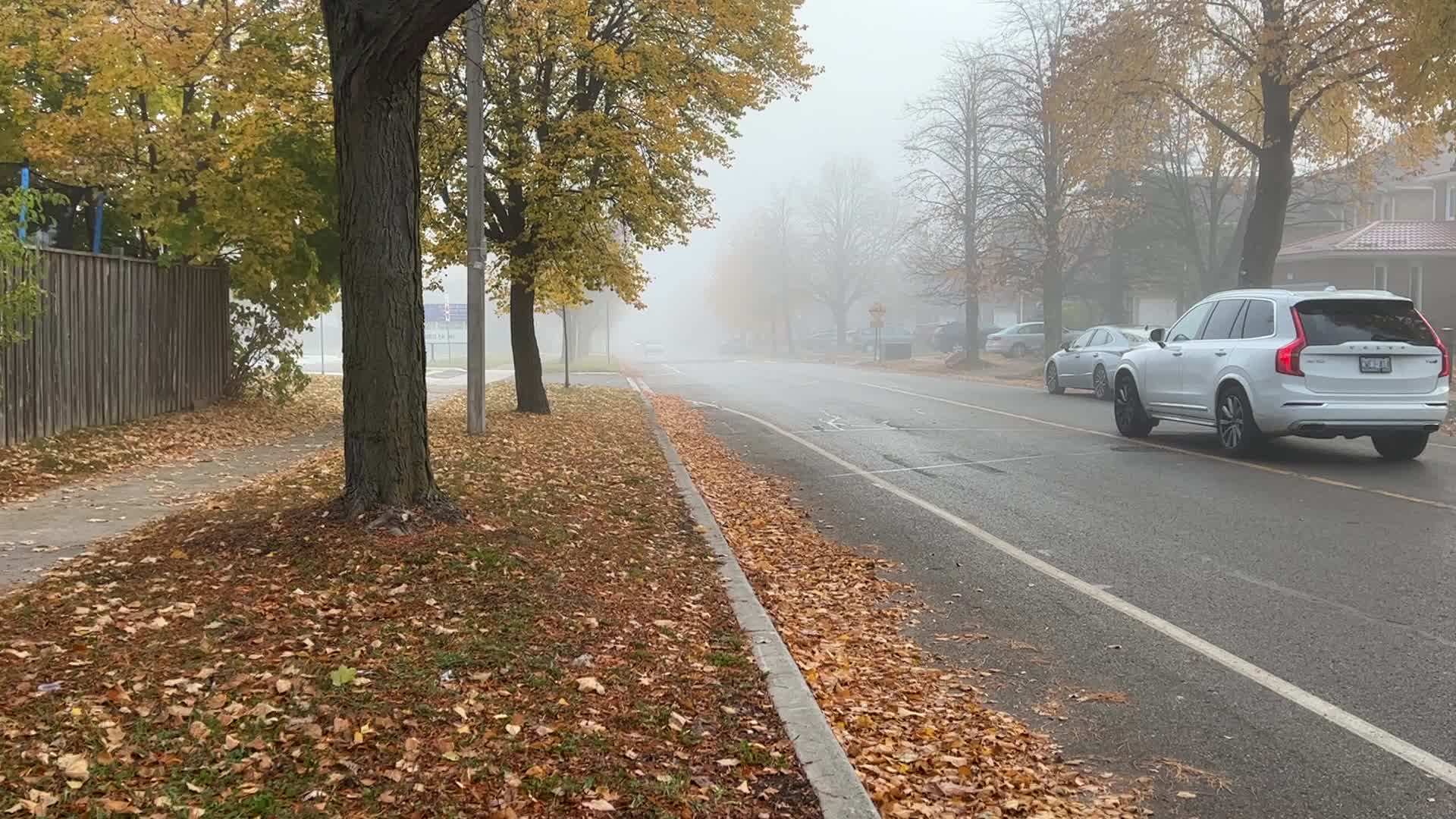 Foggy morning during the Autumn season