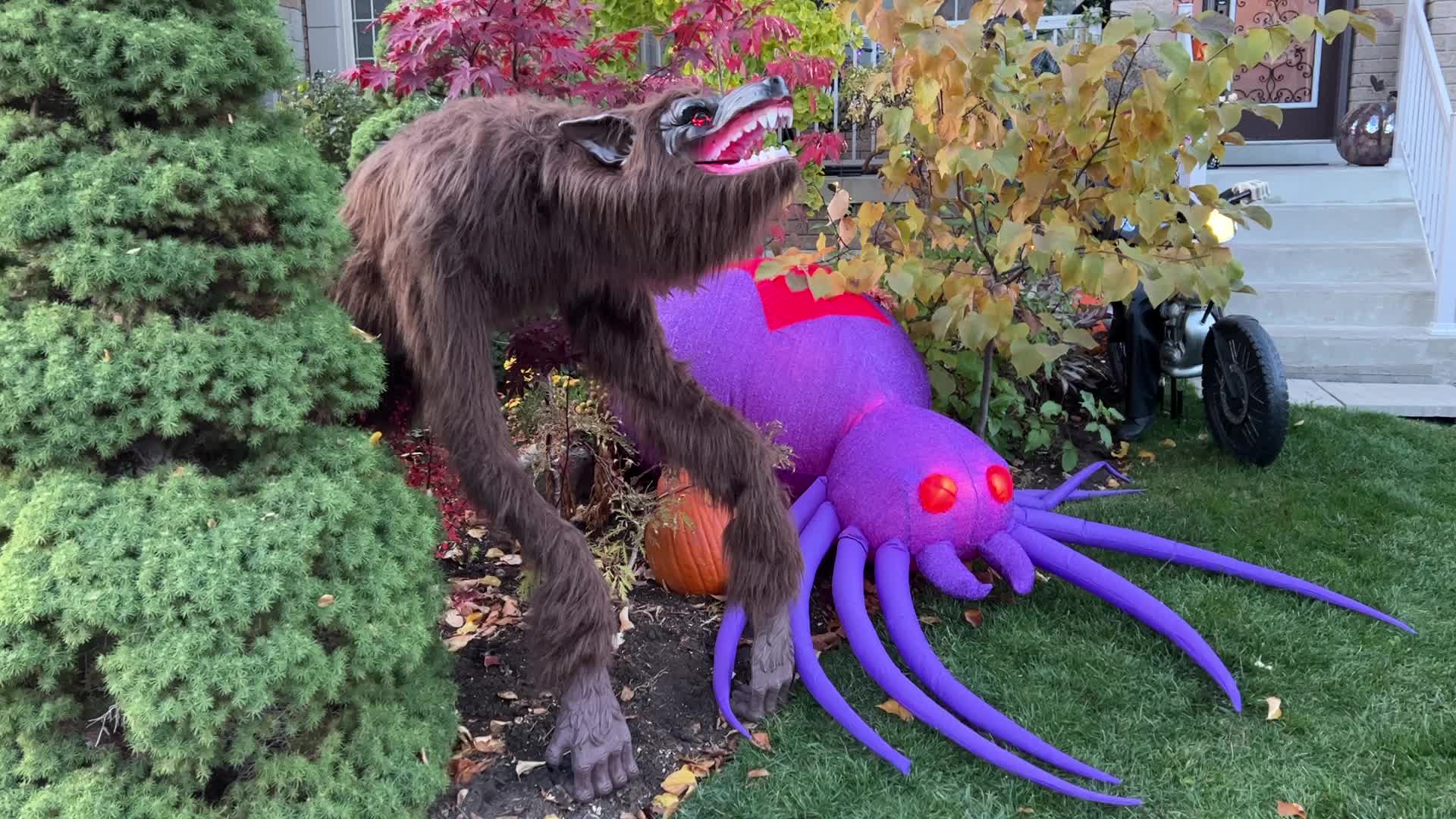 Halloween in Canada 