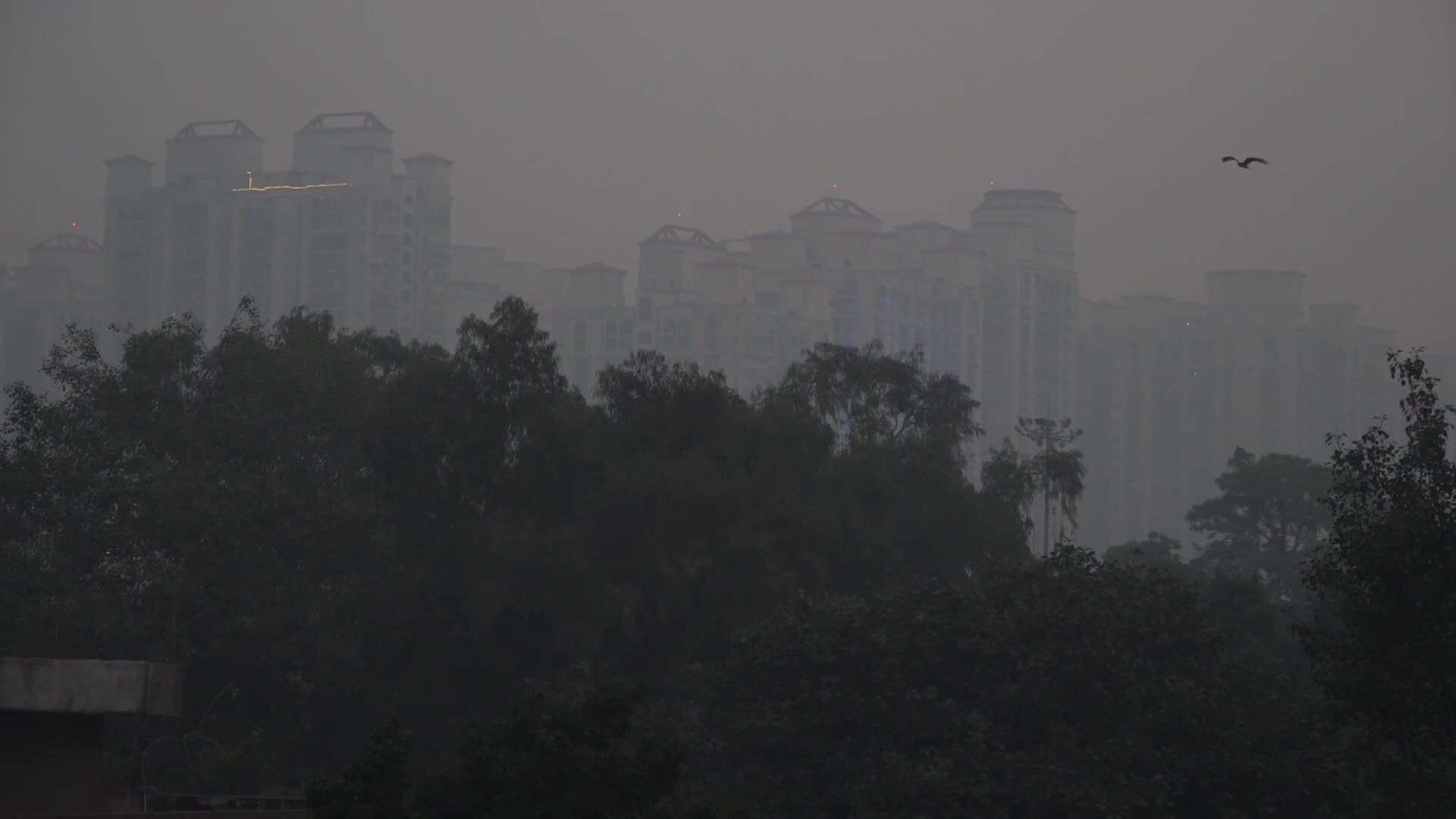 Air Pollution In New Delhi, India